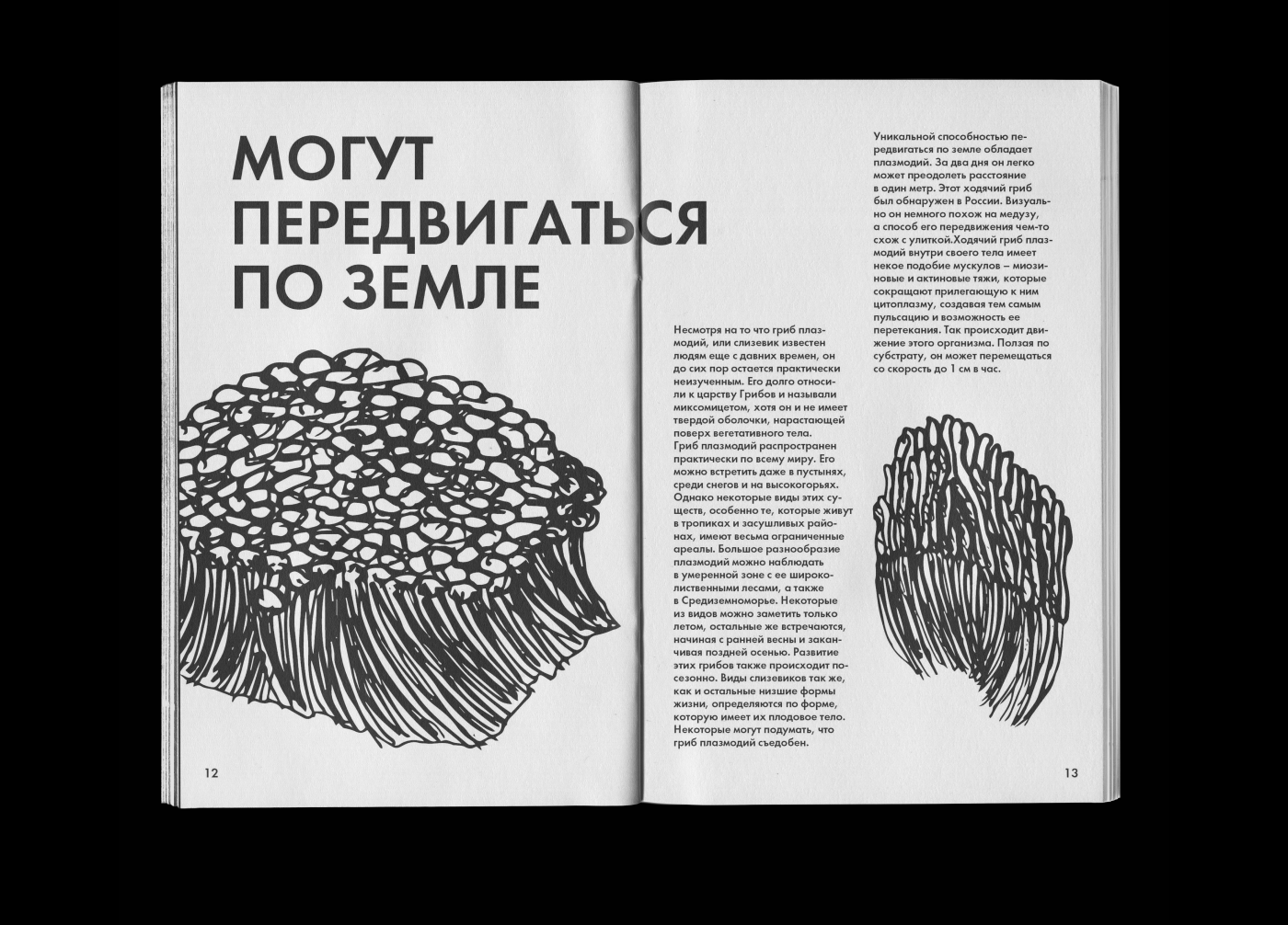 Зин «Грибы»/ Zine «Mushrooms» — Изображение №7 — Иллюстрация, Графика на Dprofile