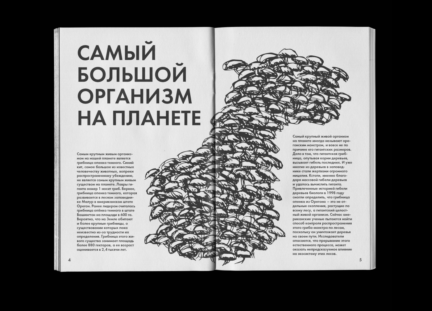 Зин «Грибы»/ Zine «Mushrooms» — Изображение №4 — Иллюстрация, Графика на Dprofile