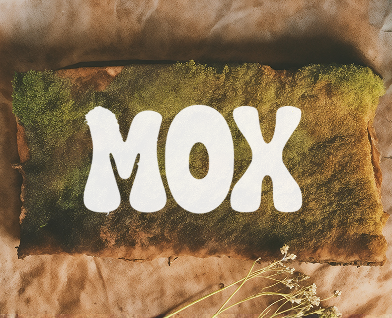 Кофейня «МОХ»/ MOSH COFFEE — Брендинг, Графика на Dprofile