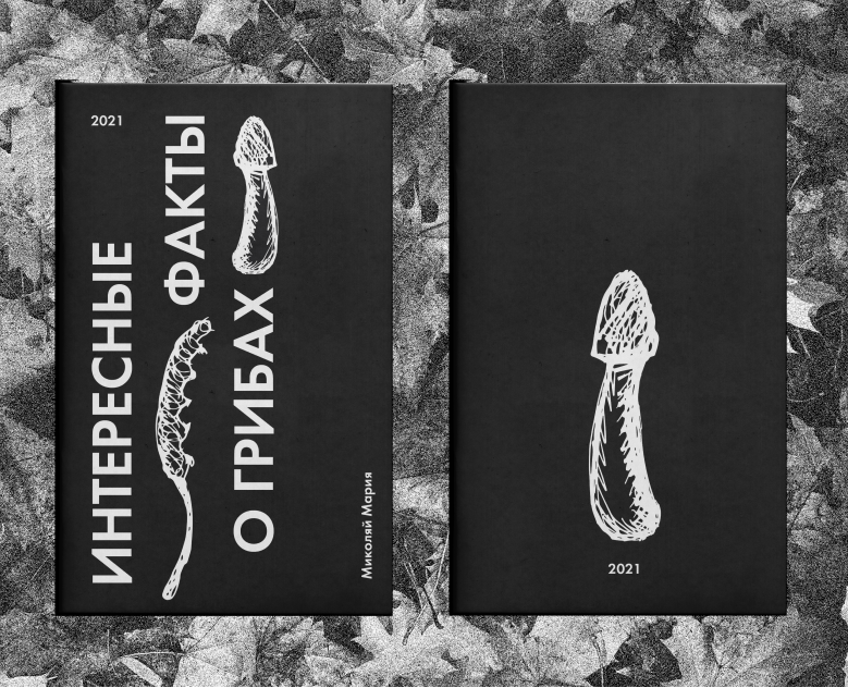 Зин «Грибы»/ Zine «Mushrooms» — Иллюстрация, Графика на Dprofile