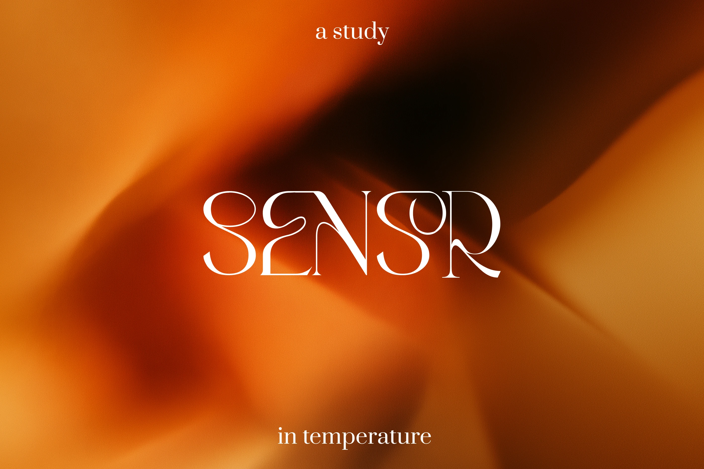 Дизайн и оформление упаковки парфюмерии | SENSOR / SENS°R — Изображение №1 — Брендинг, Графика на Dprofile