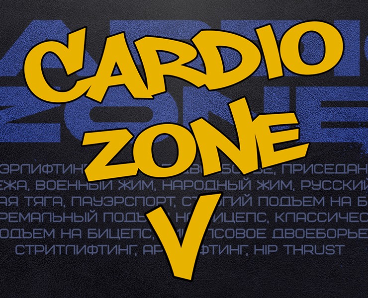 Мастерский турнир "CardioZone V" — Брендинг, Графика на Dprofile