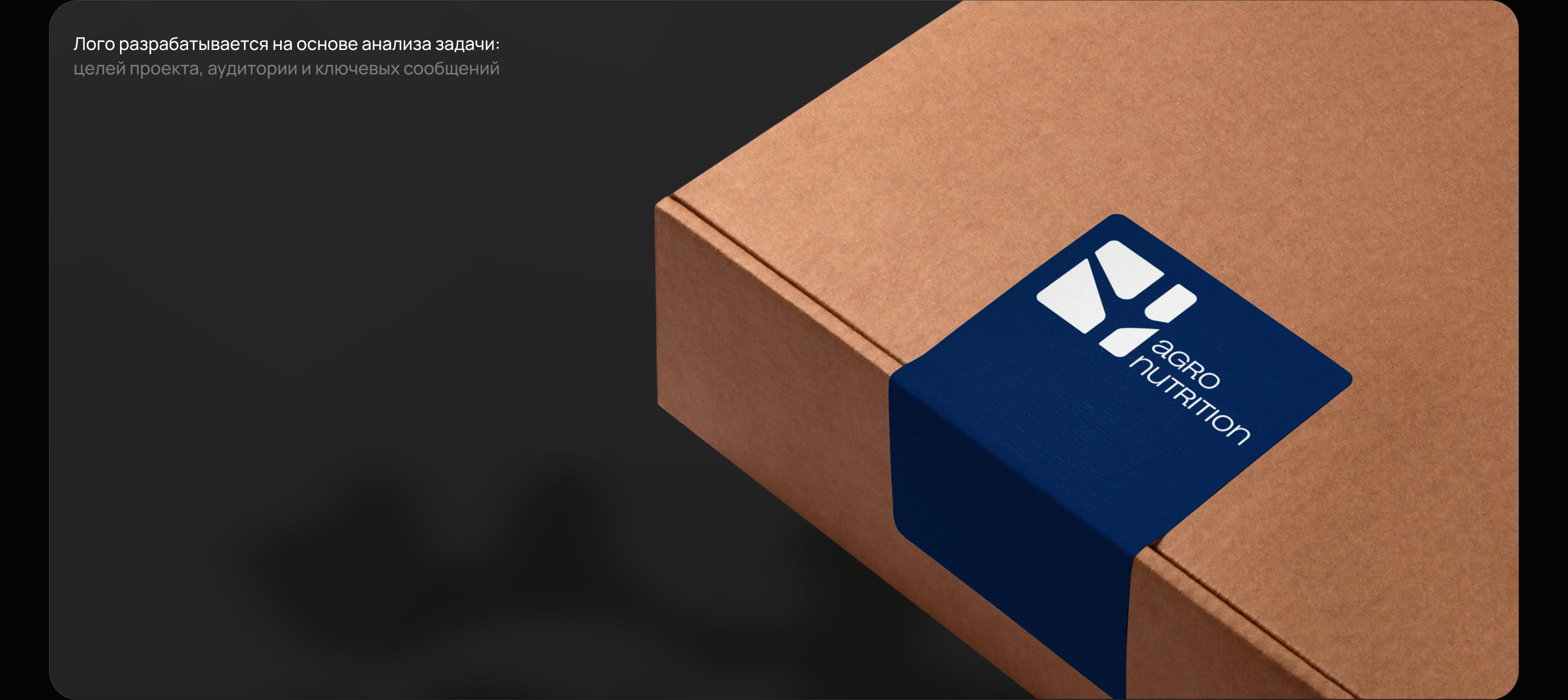 Agronutrition — Изображение №3 — Брендинг на Dprofile