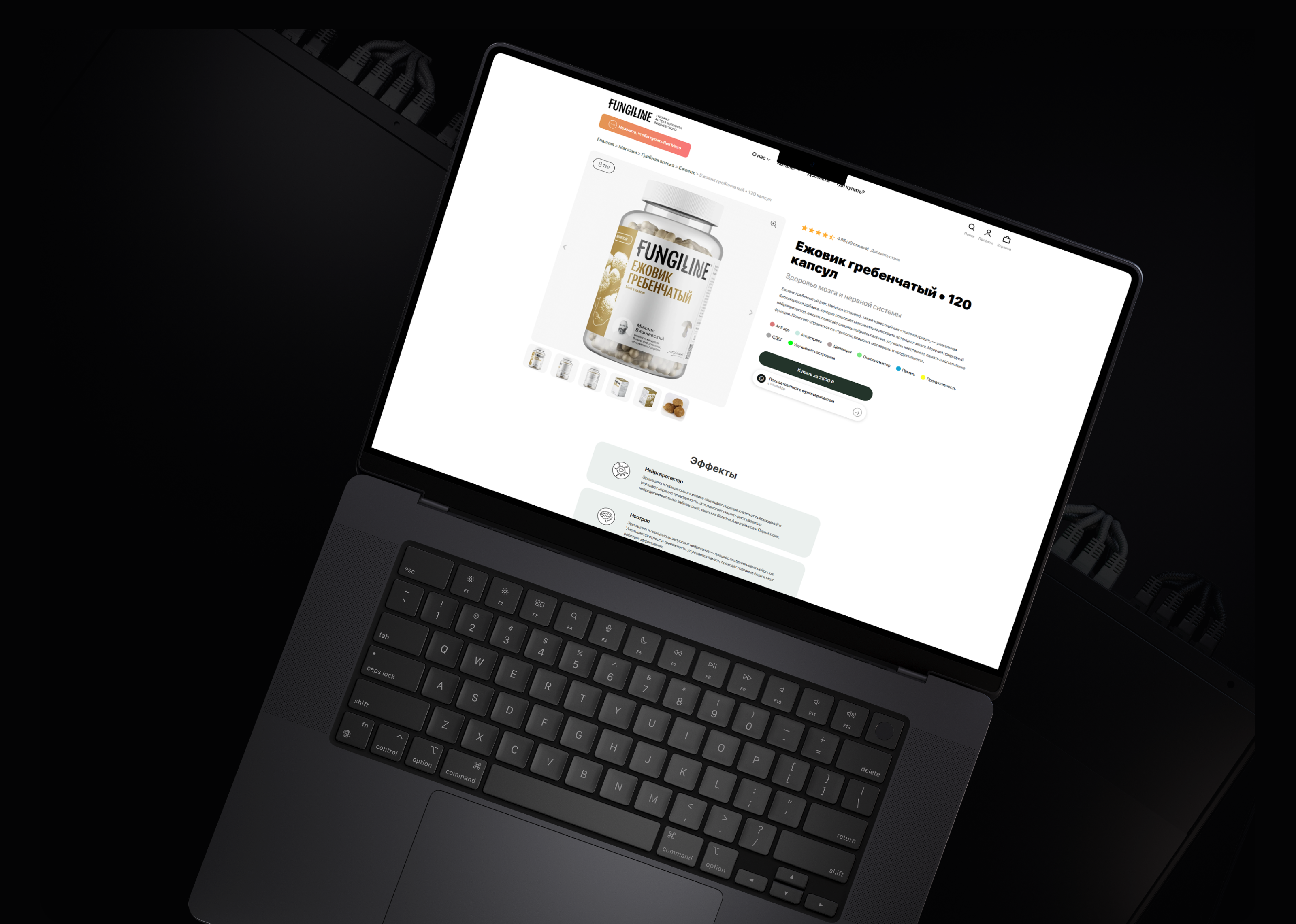 FUNGLINE — Изображение №3 — Интерфейсы на Dprofile