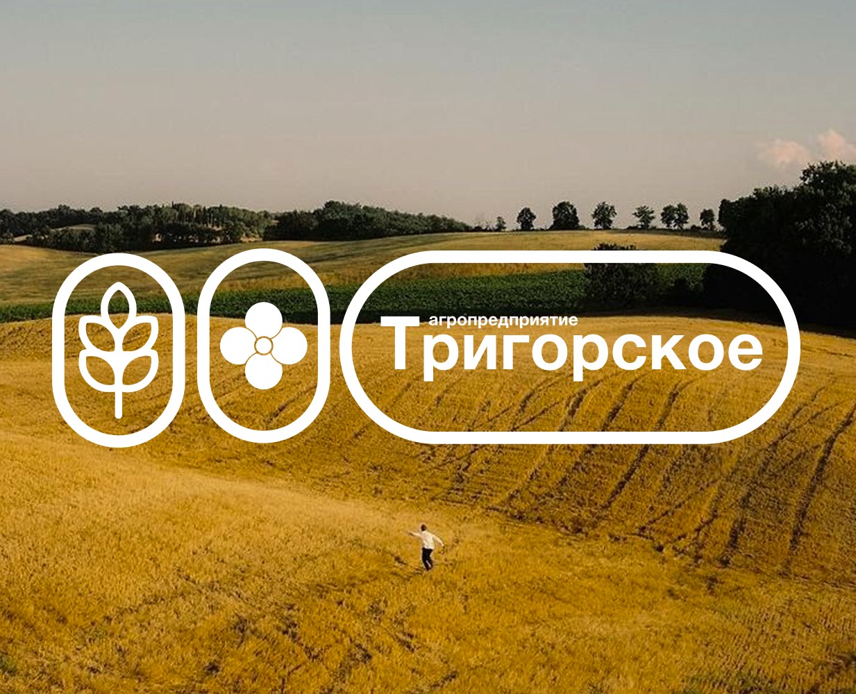 Агропредприятие "Тригорское" на Dprofile