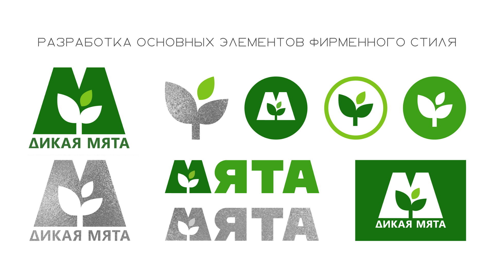 Дизайн ланч-бокса "Дикая мята" — Изображение №4 — Брендинг на Dprofile