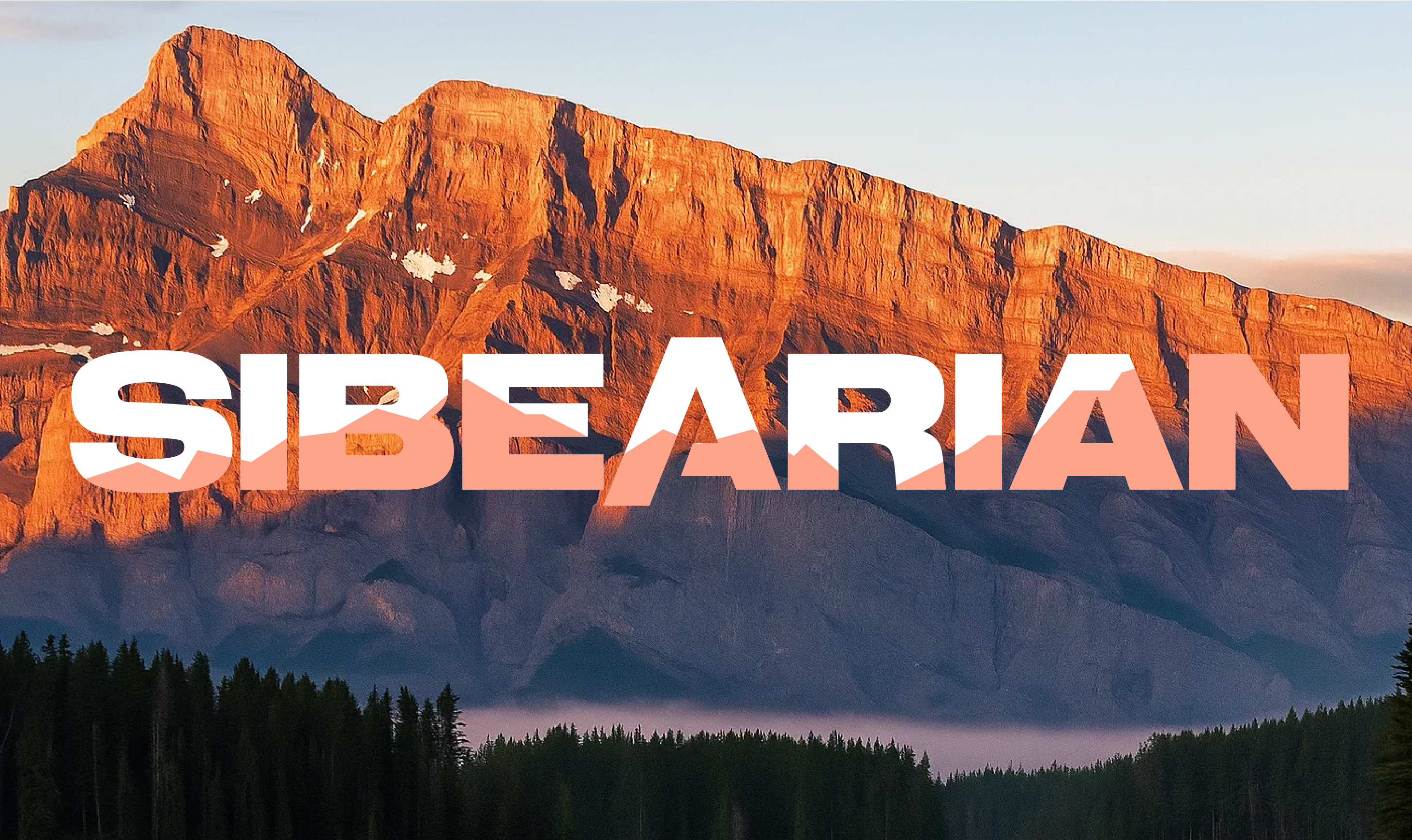 SIBEARIAN — Изображение №1 — Брендинг на Dprofile