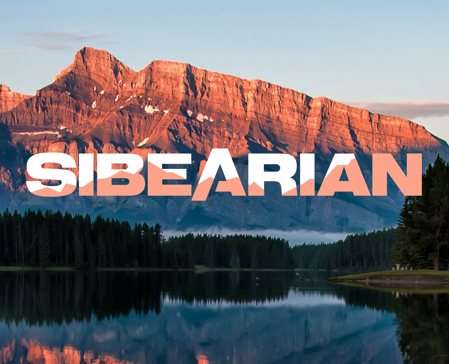 SIBEARIAN — Брендинг на Dprofile