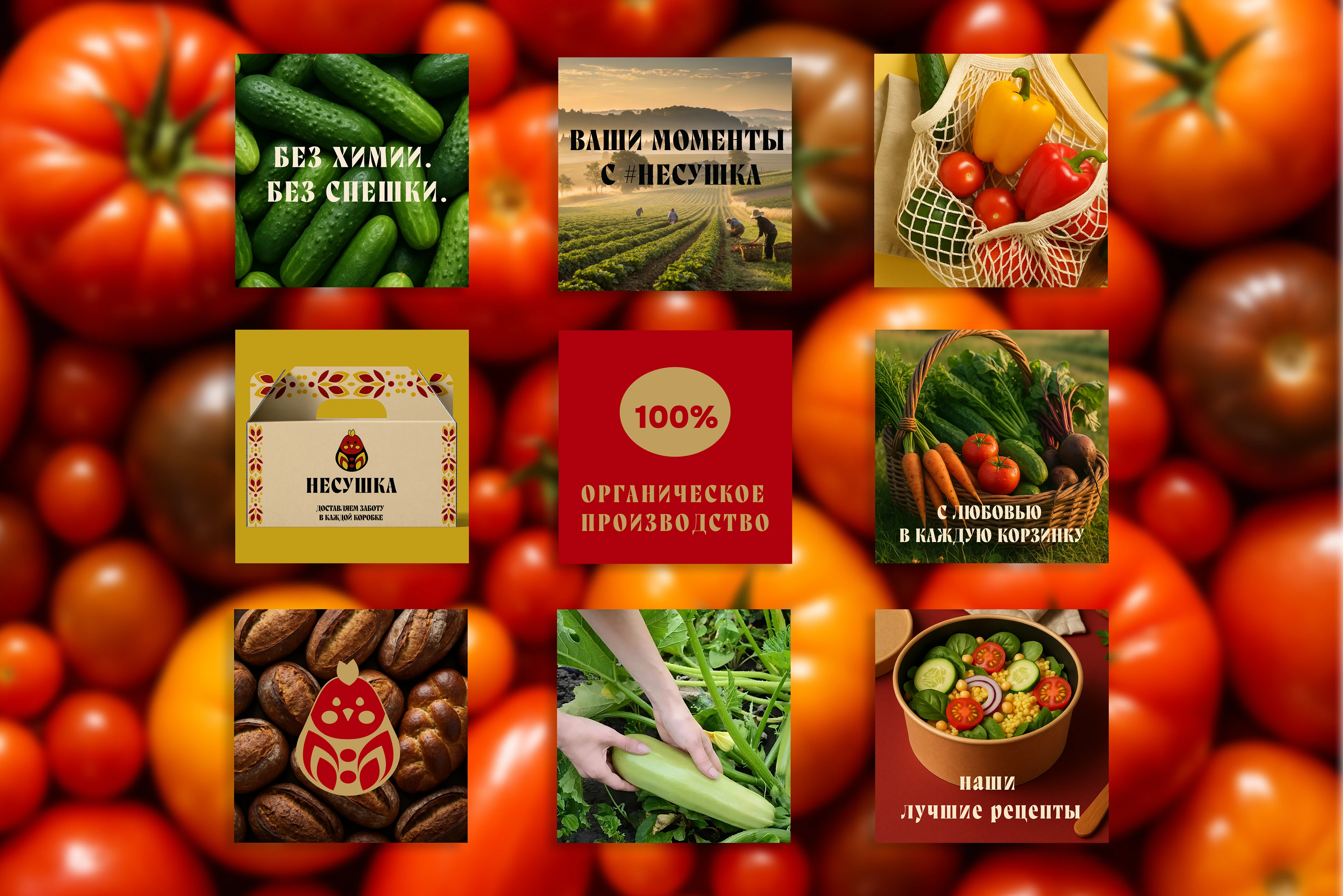 Несушка — фирменный стиль фермерской доставки — Изображение №10 — Брендинг, Графика на Dprofile