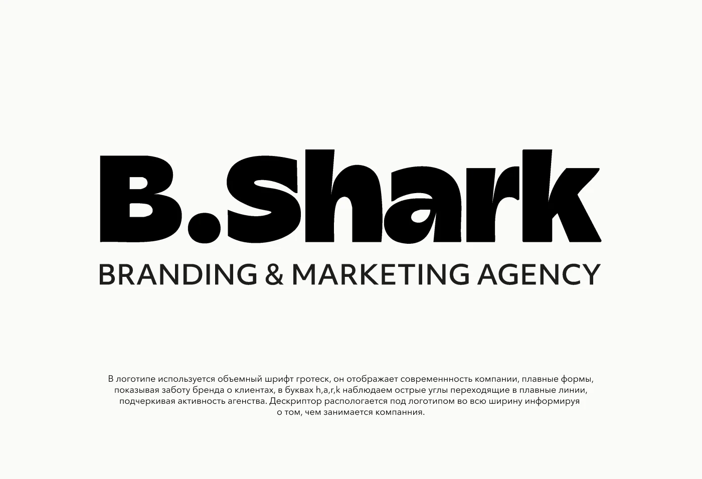 Brand identity / Branding & Marketing agency / B.Shark. — Изображение №2 — Брендинг на Dprofile