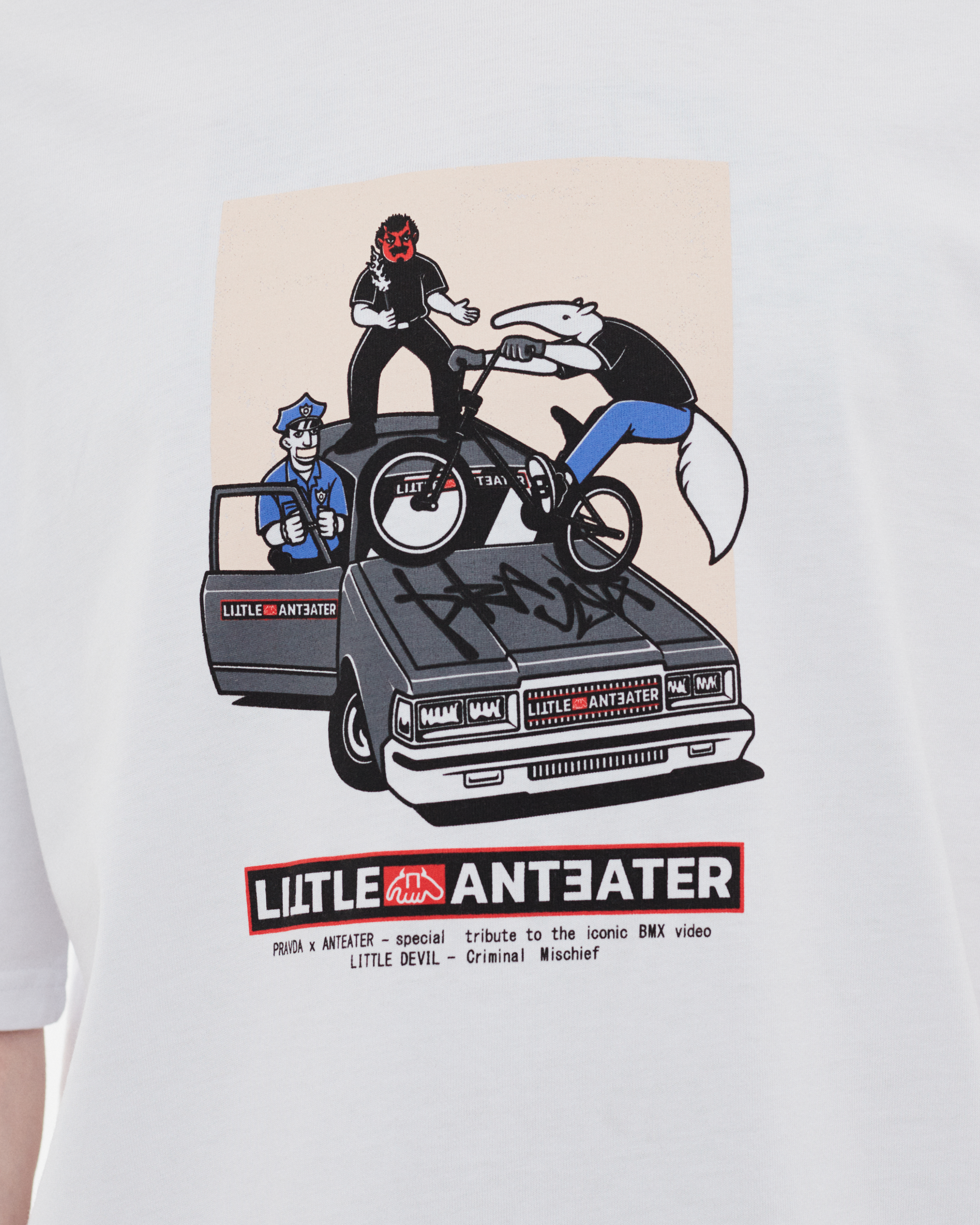 Дизайн для футболок Anteater 2023 — Изображение №8 — Брендинг, Иллюстрация на Dprofile