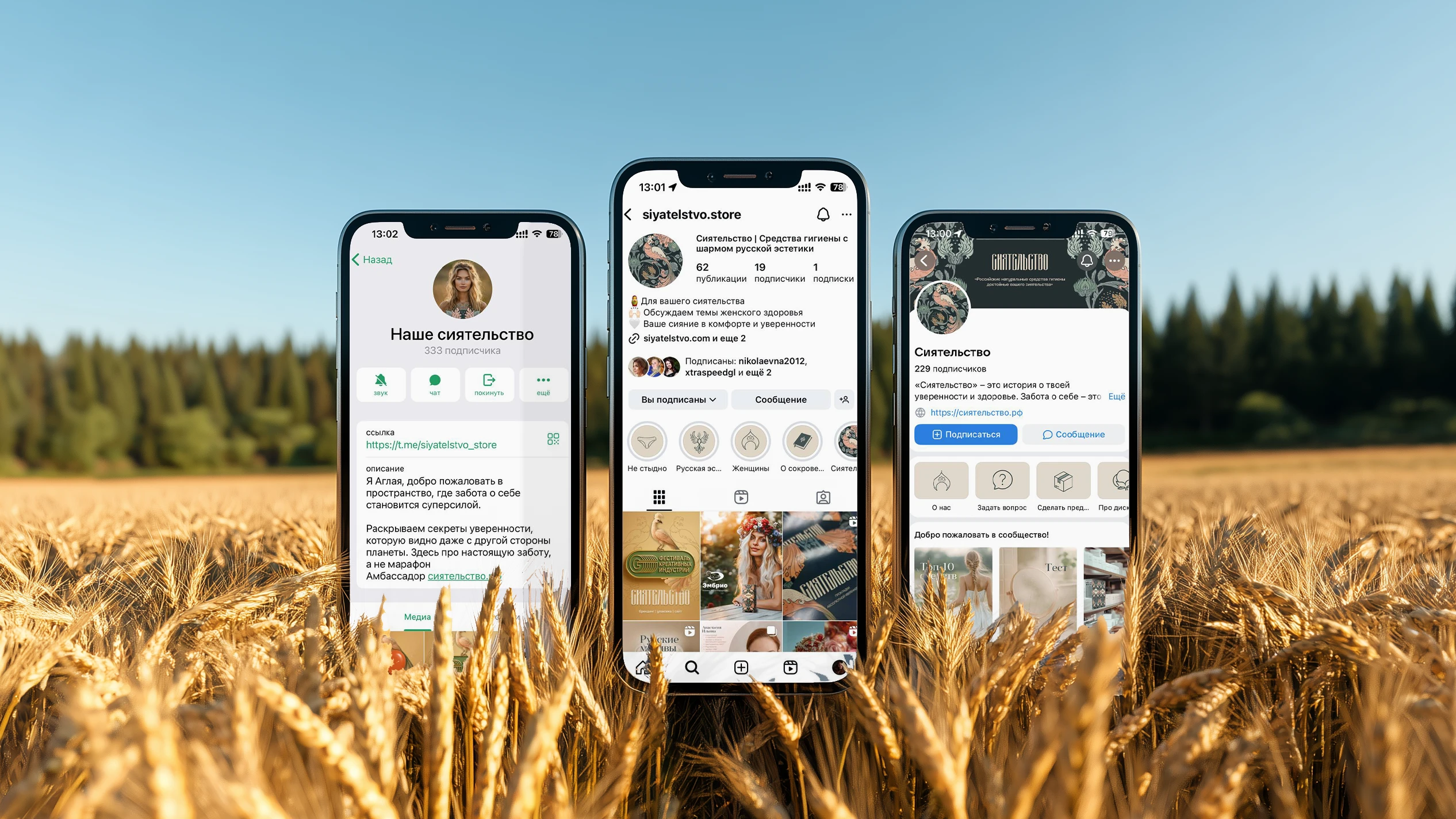 Сиятельство | Brand Website & Social Media — Изображение №2 — Интерфейсы, Маркетинг на Dprofile