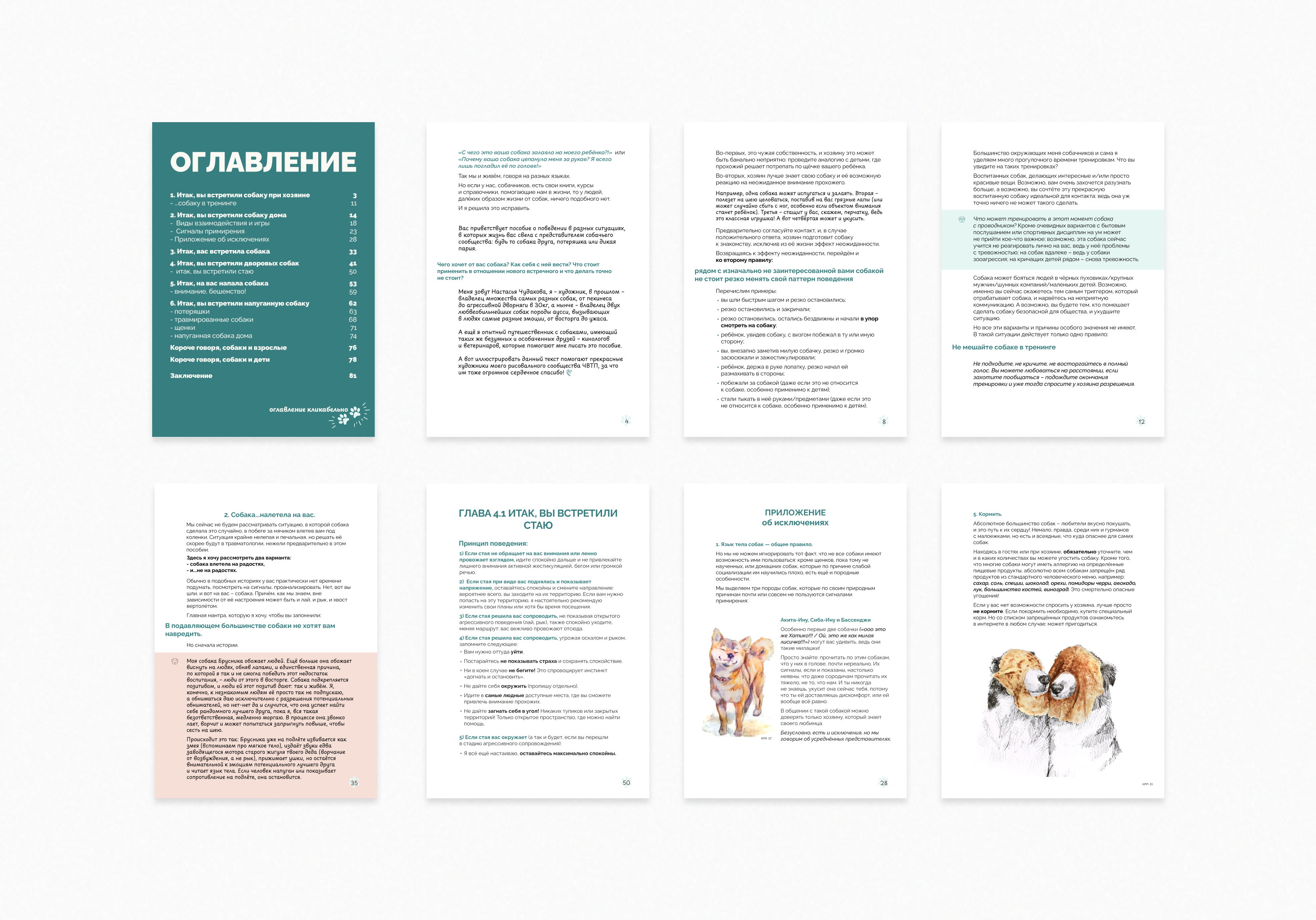 Верстка иллюстрированного пособия — Изображение №3 — Иллюстрация, Графика на Dprofile