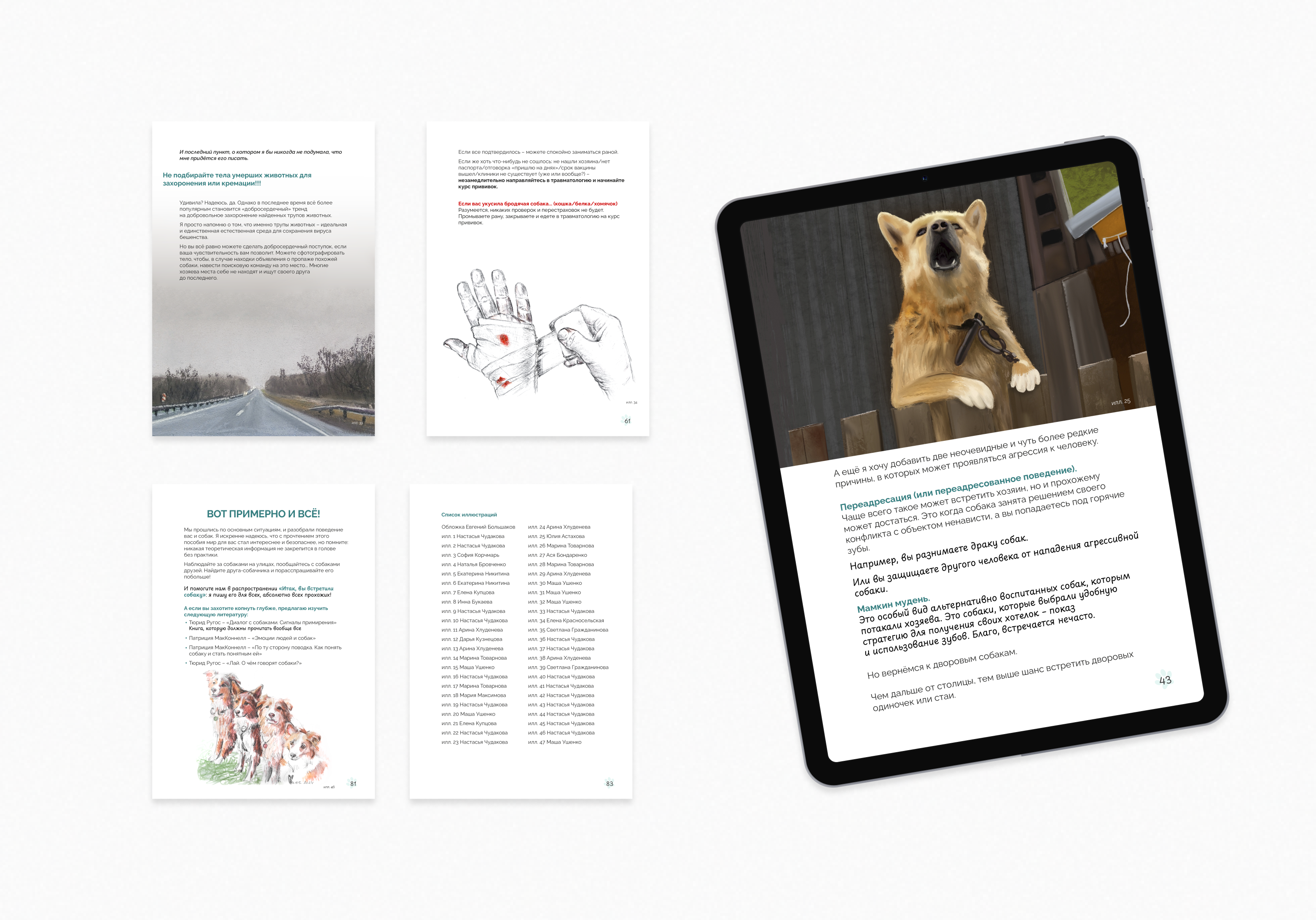 Верстка иллюстрированного пособия — Изображение №4 — Иллюстрация, Графика на Dprofile