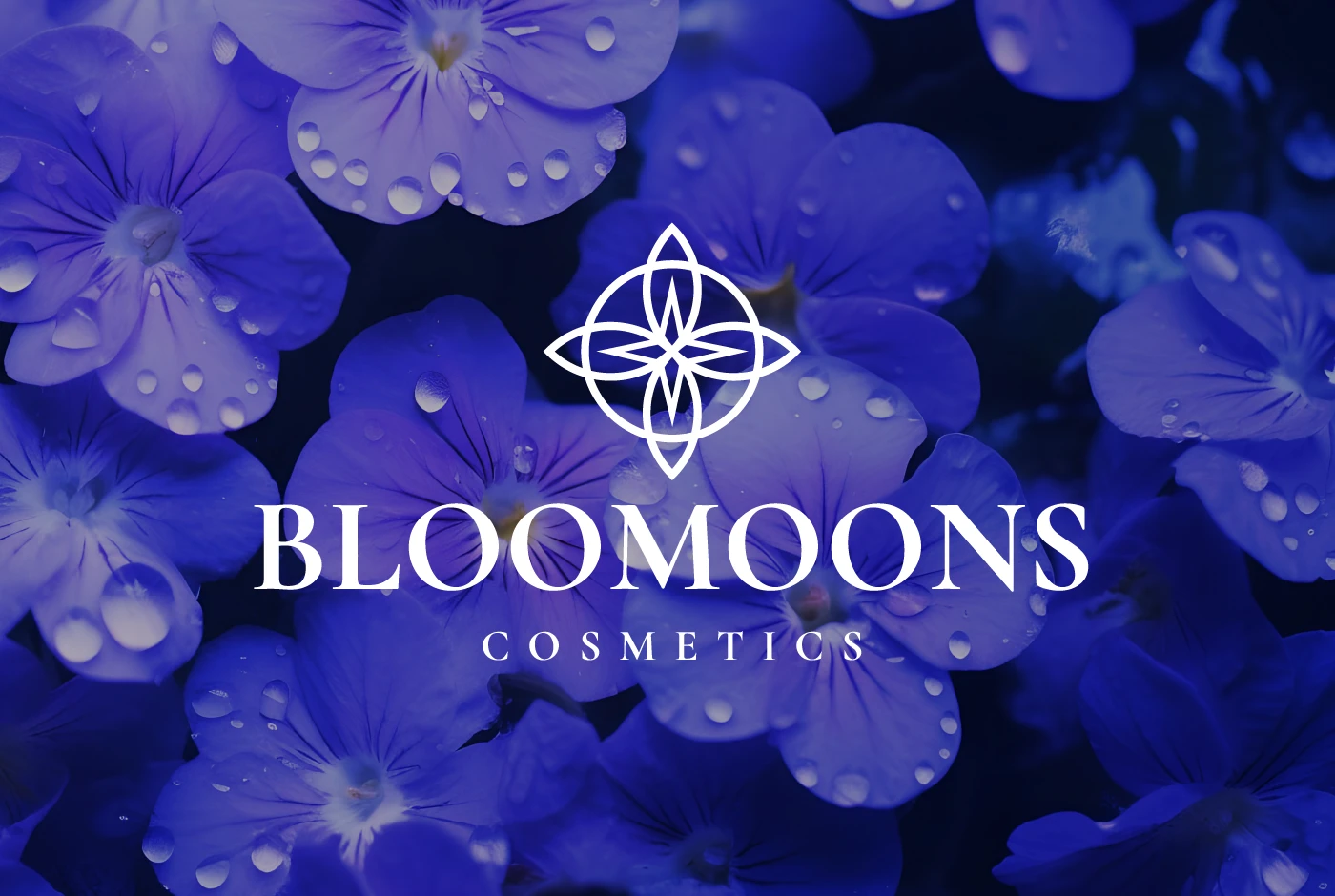 ЛОГОТИП И НЕЙМИНГ. BLOOMOONS COSMETICS — Изображение №1 — Брендинг, Графика на Dprofile