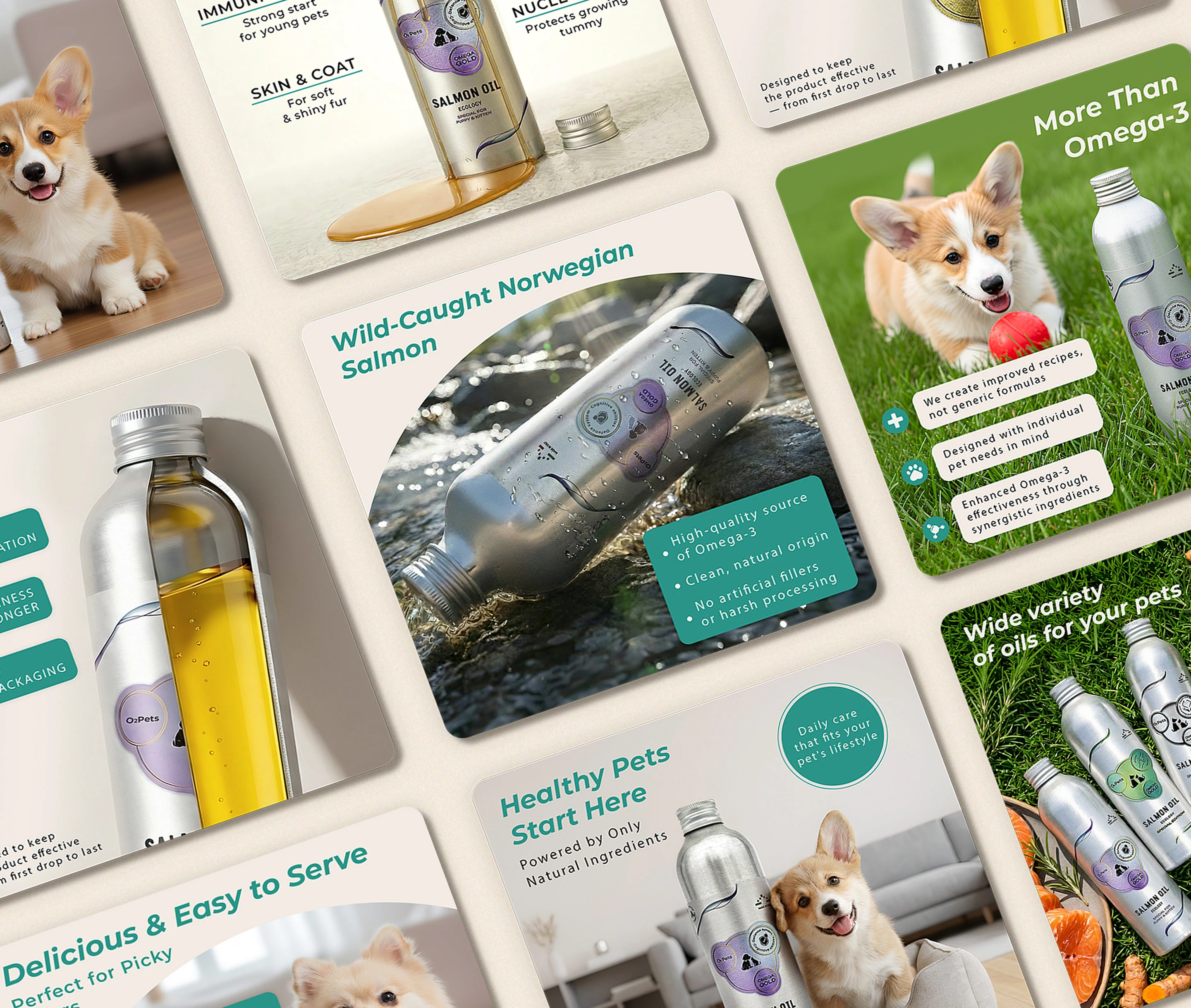 Amazon A+ Content & Listing | O2PETS — Изображение №3 — Графика, Маркетинг на Dprofile