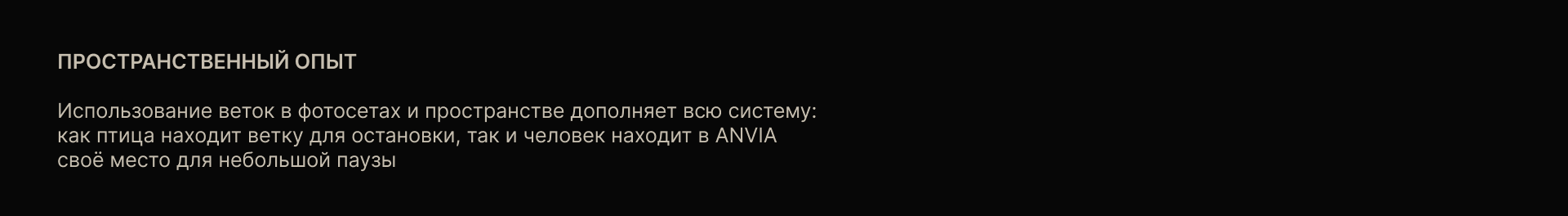 ANVIA | брендинг для кофейни — Изображение №13 — Брендинг на Dprofile