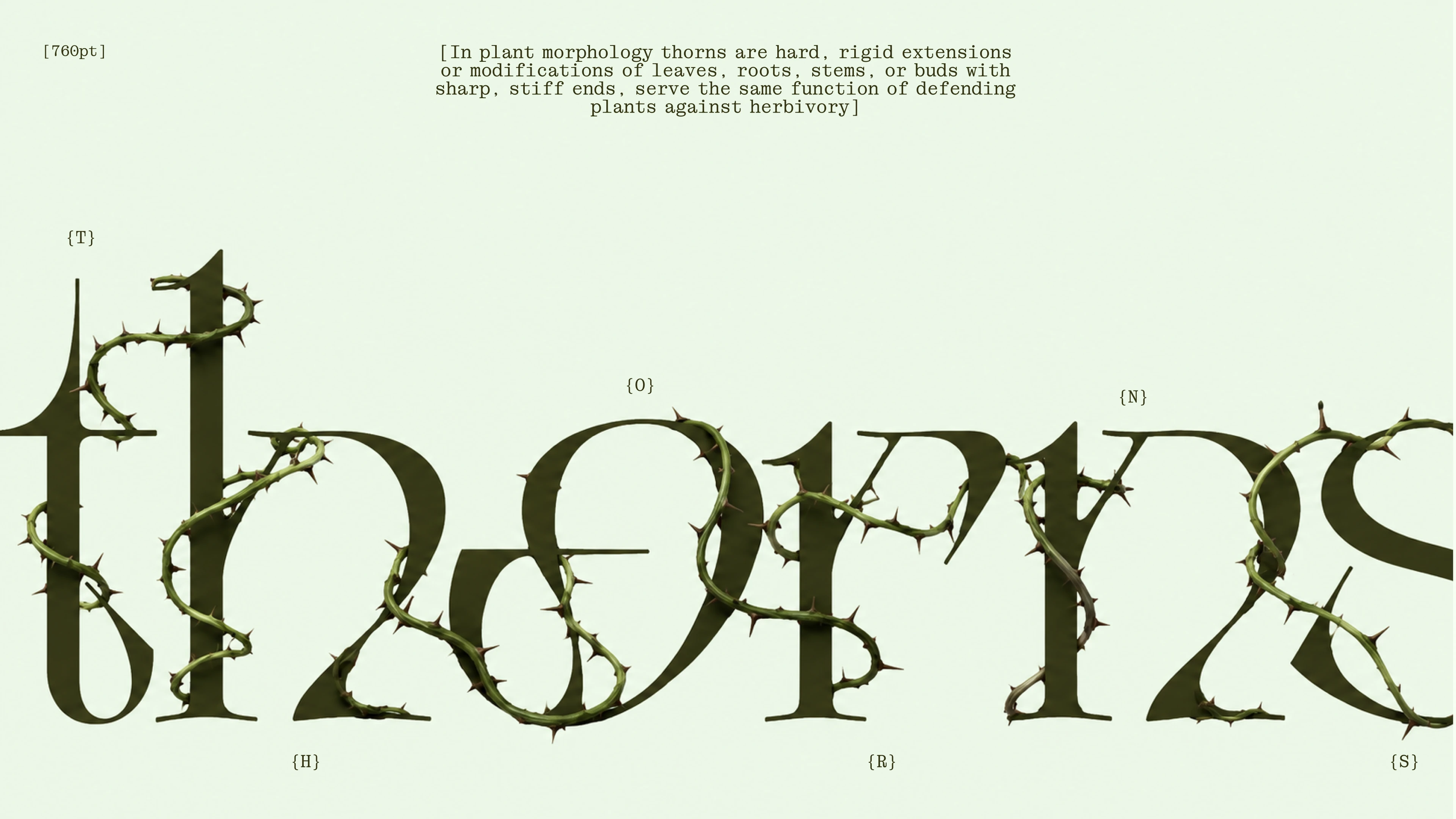 Opuntia display typeface | Cyrillic & Latin | Free font — Изображение №9 — Графика на Dprofile