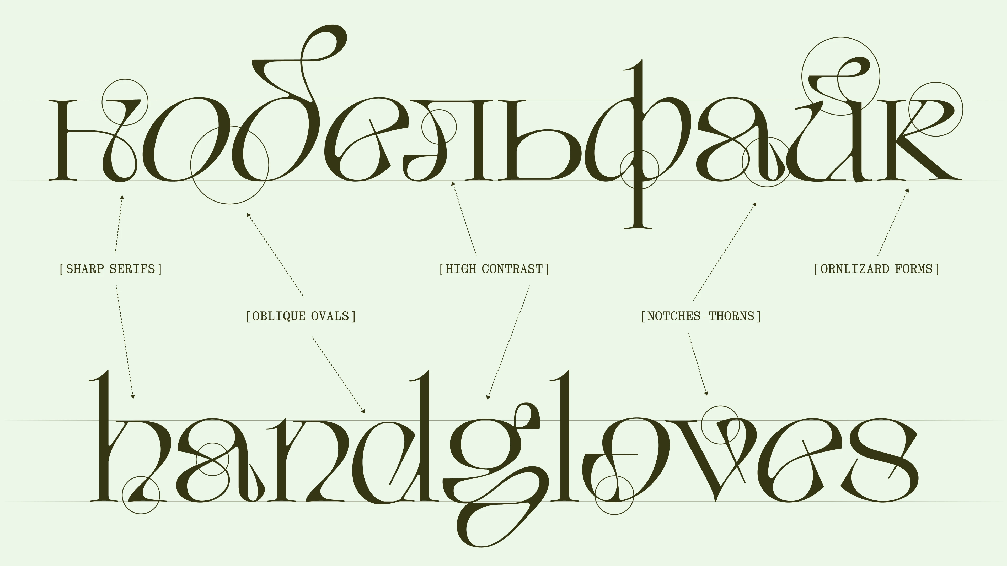 Opuntia display typeface | Cyrillic & Latin | Free font — Изображение №3 — Графика на Dprofile