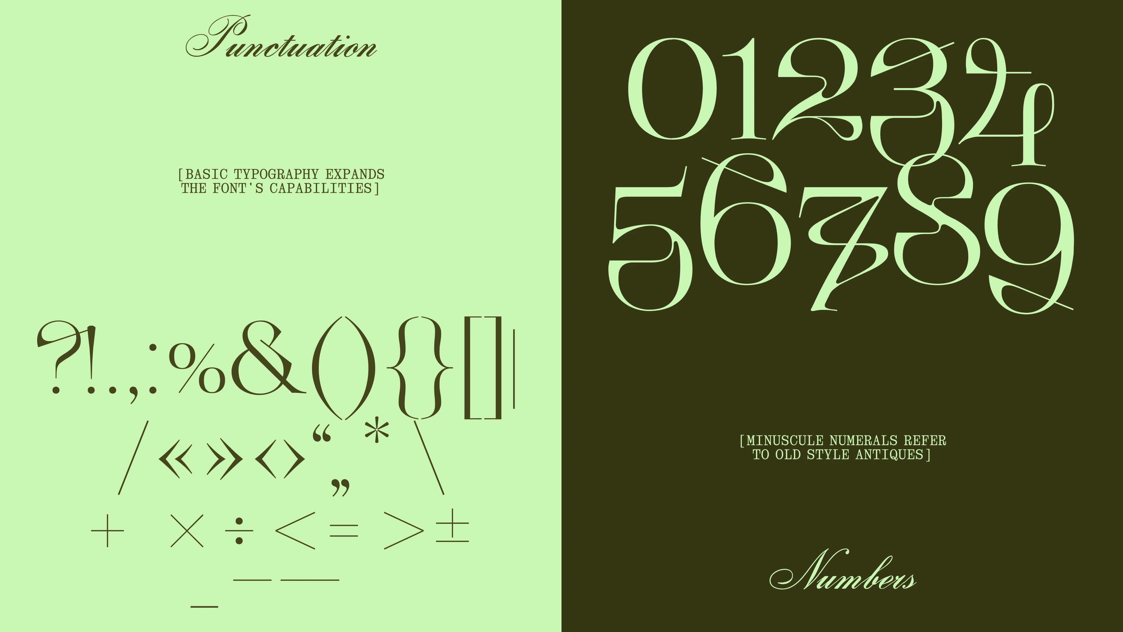 Opuntia display typeface | Cyrillic & Latin | Free font — Изображение №8 — Графика на Dprofile