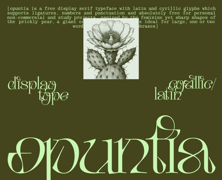 Opuntia display typeface | Cyrillic & Latin | Free font на Dprofile