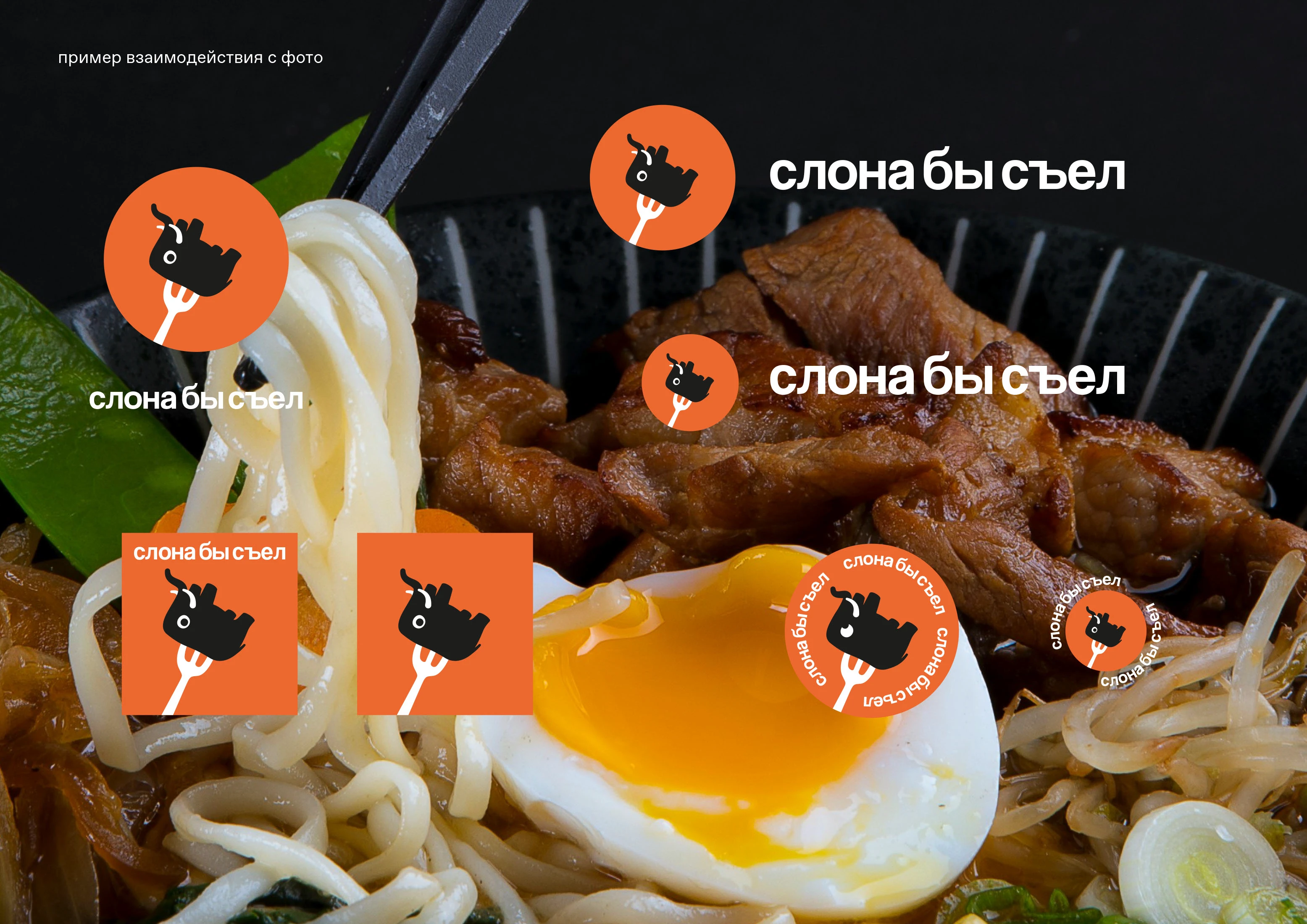 готовая еда и доставка «слона бы съел» — Изображение №13 — Брендинг на Dprofile