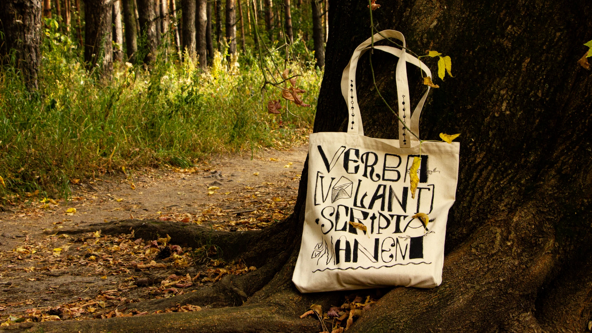 Verba volant (личный мерч) — Изображение №1 — Брендинг, Графика на Dprofile