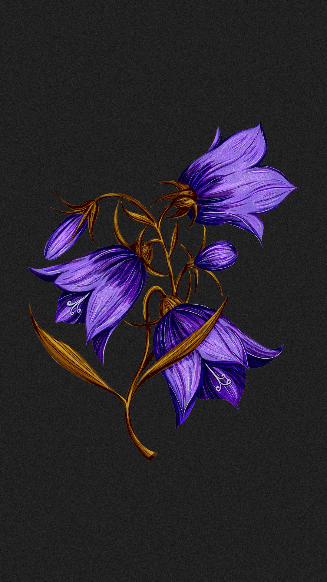 Иллюстрации гербария для сайта Musa Lissa — Изображение №5 — Иллюстрация на Dprofile