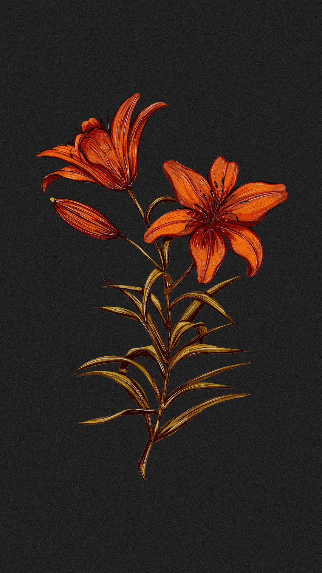 Иллюстрации гербария для сайта Musa Lissa — Изображение №7 — Иллюстрация на Dprofile