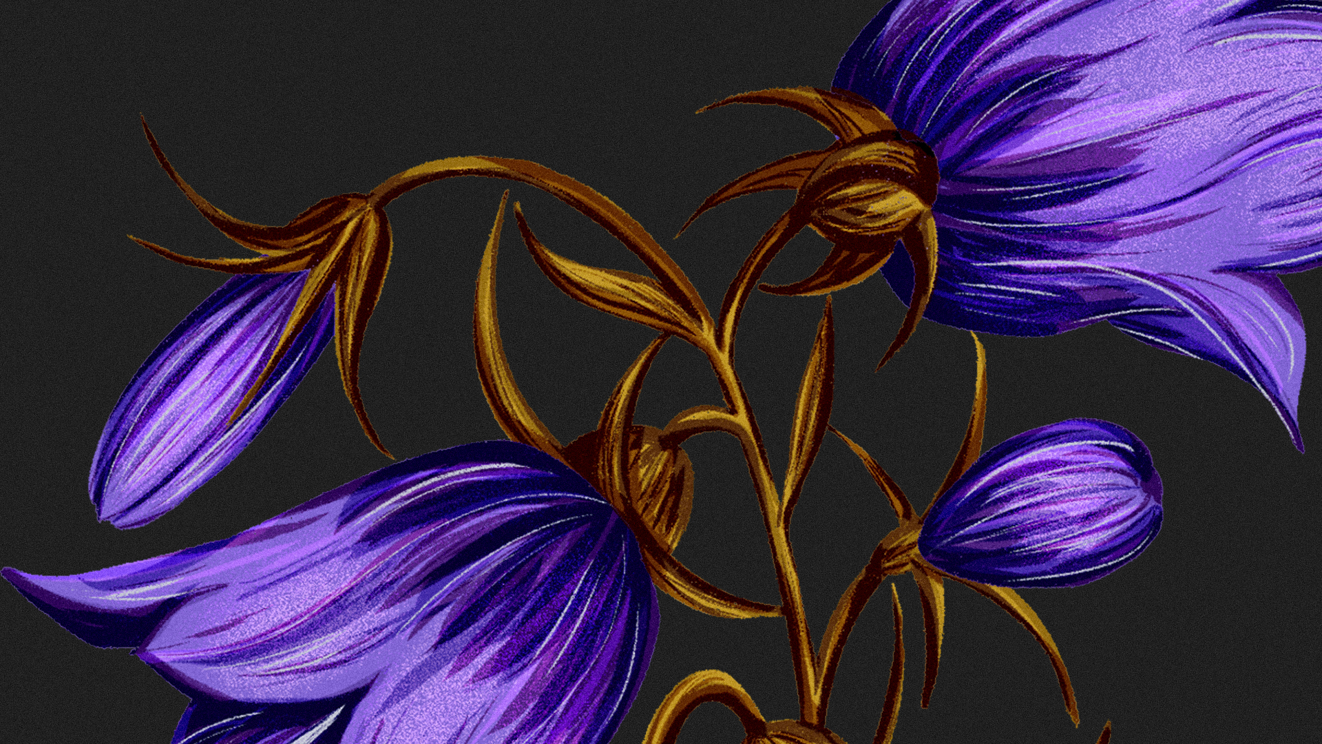 Иллюстрации гербария для сайта Musa Lissa — Изображение №16 — Иллюстрация на Dprofile