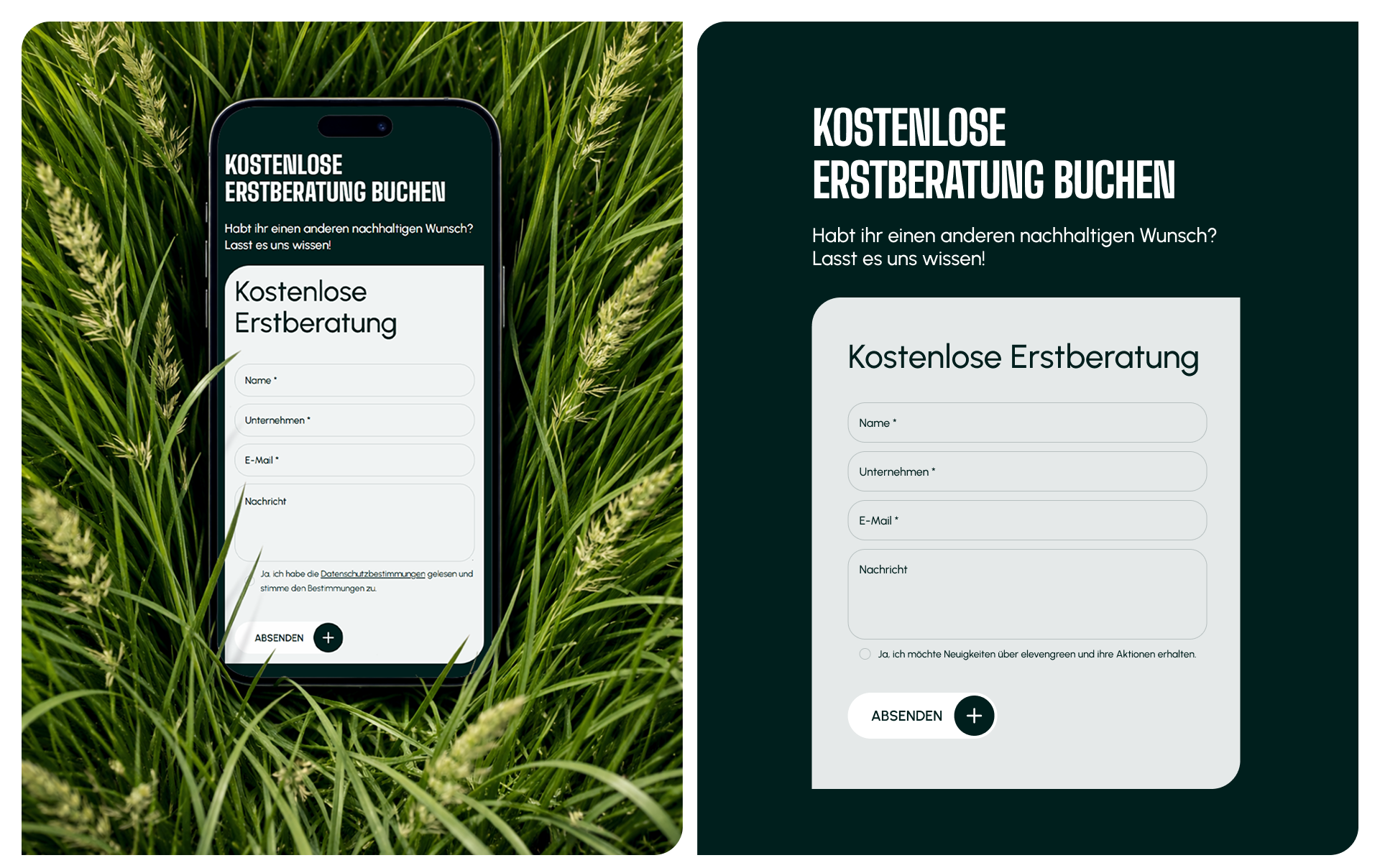 Айдентика и UX/UI для экологичного спорта - Elevengreen — Изображение №10 — Интерфейсы, Брендинг на Dprofile