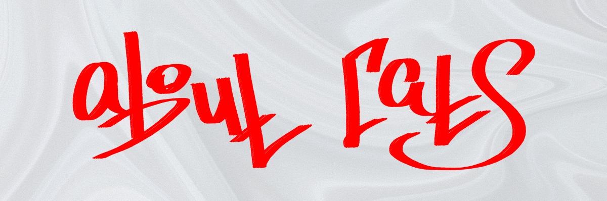 T-SHIRTS DESIGN: about cats. — Изображение №1 — Графика на Dprofile