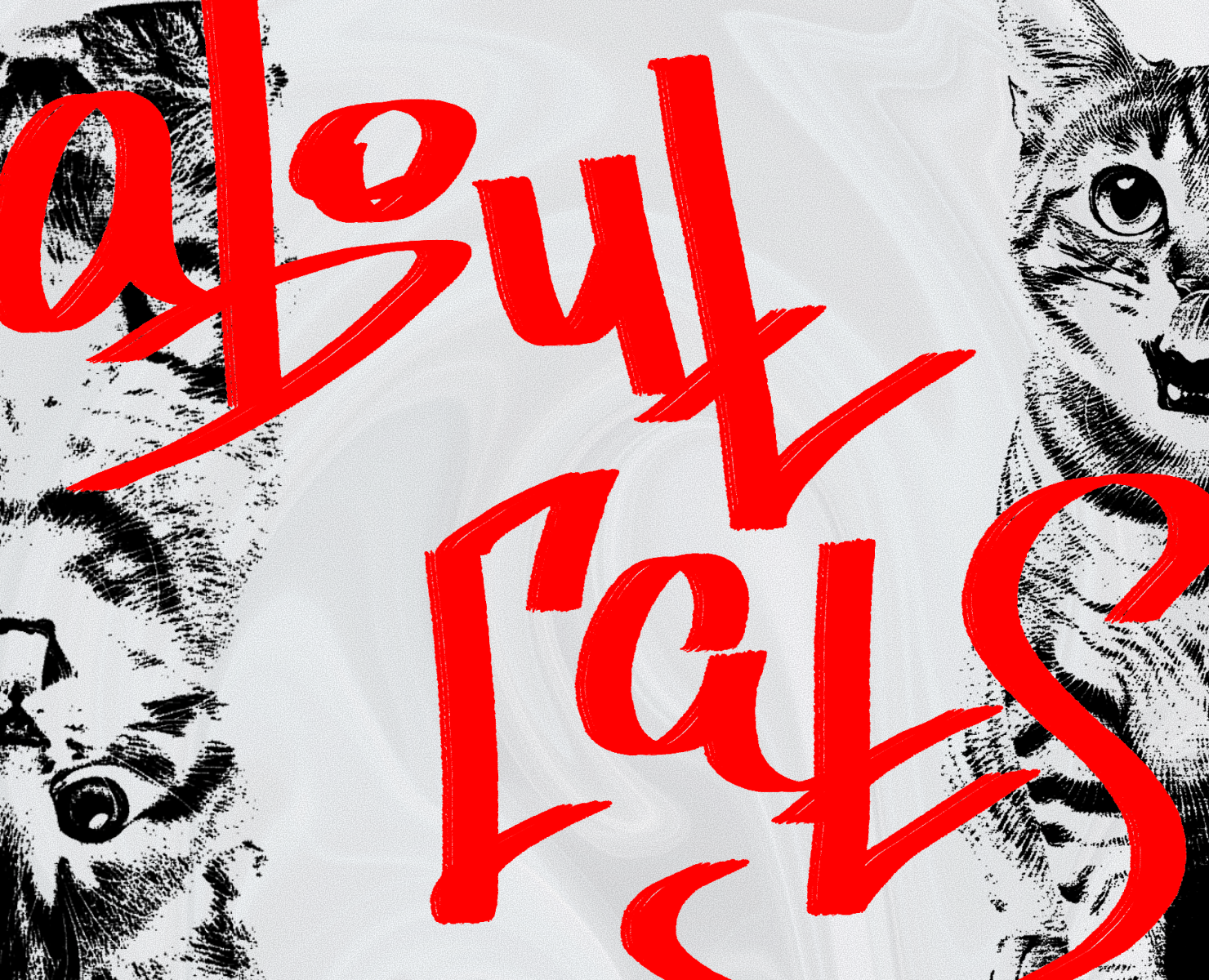 T-SHIRTS DESIGN: about cats. на Dprofile