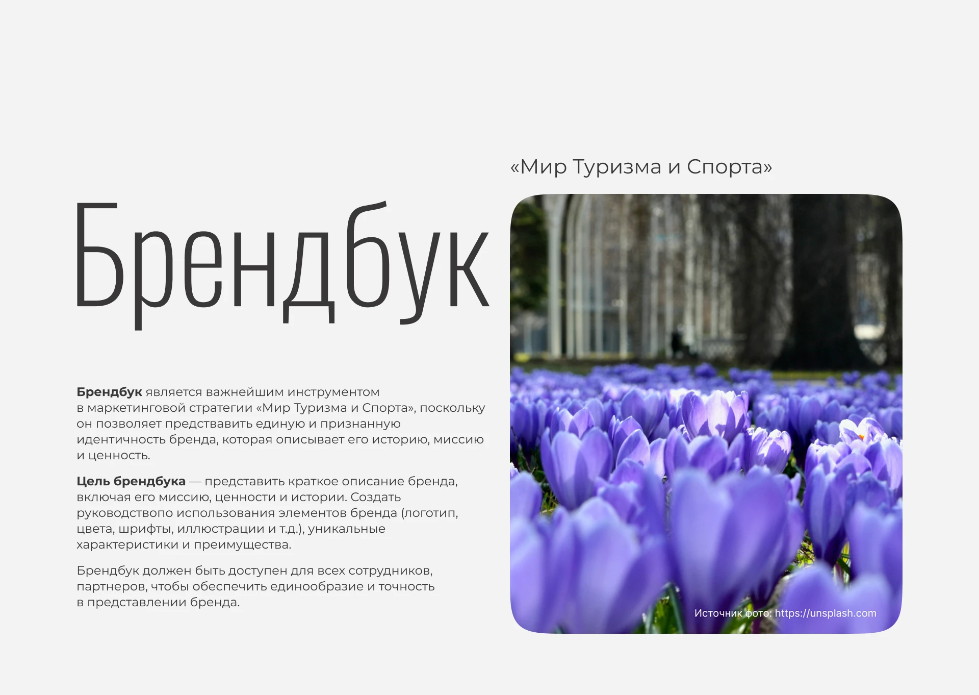 Фирменный стиль | Брендбук | Логотип — Изображение №2 — Брендинг на Dprofile
