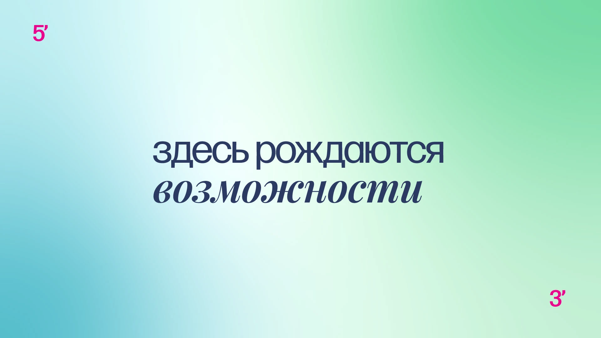 Приручать неизвестность. Брендинг «Артселленс» — Изображение №19 — Брендинг, Графика на Dprofile