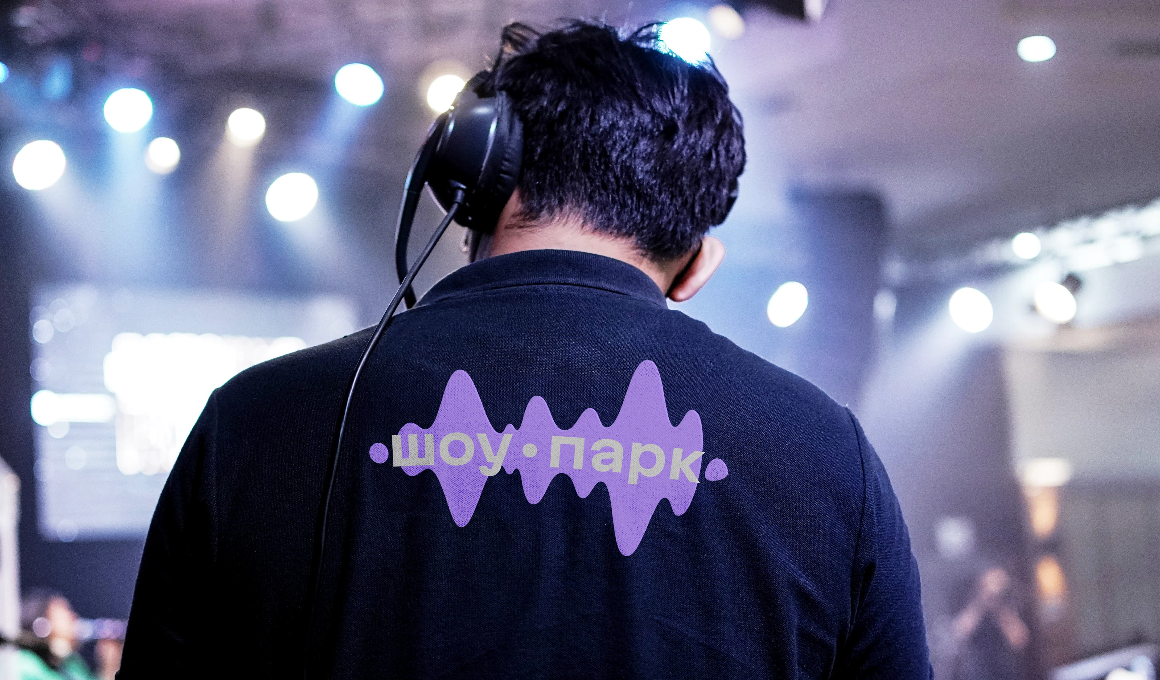 В волнах ярких событий. Айдентика «Шоу-парка» — Изображение №5 — Брендинг, Графика на Dprofile