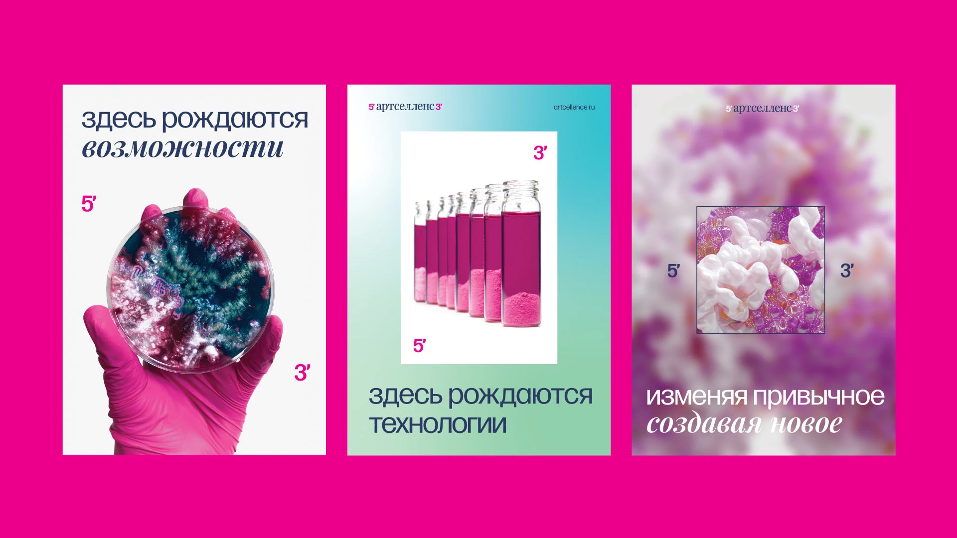 Приручать неизвестность. Брендинг «Артселленс» — Изображение №7 — Брендинг, Графика на Dprofile