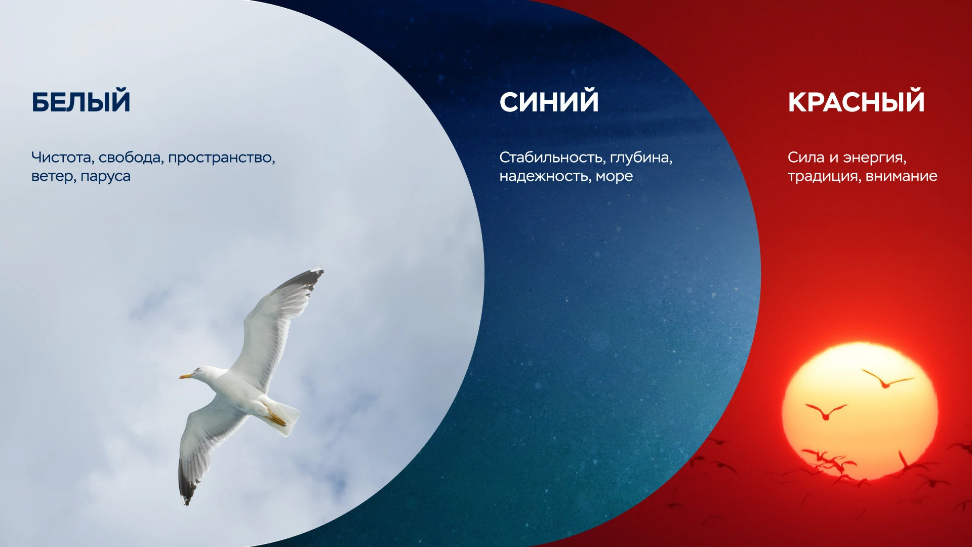 На всех парусах. Ребрендинг терминала «Дальтрансуголь» — Изображение №5 — Брендинг, Графика на Dprofile