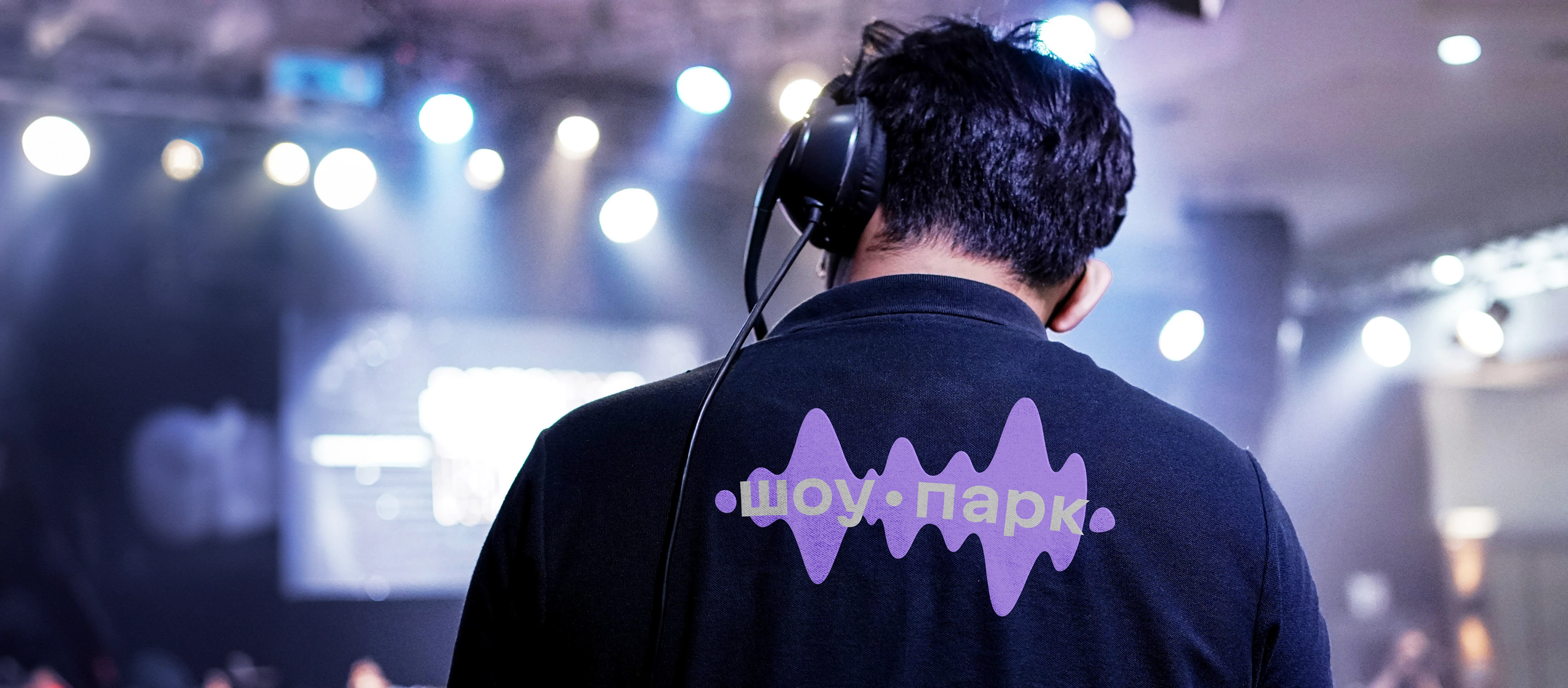 В волнах ярких событий. Айдентика «Шоу-парка» — Изображение №1 — Брендинг, Графика на Dprofile