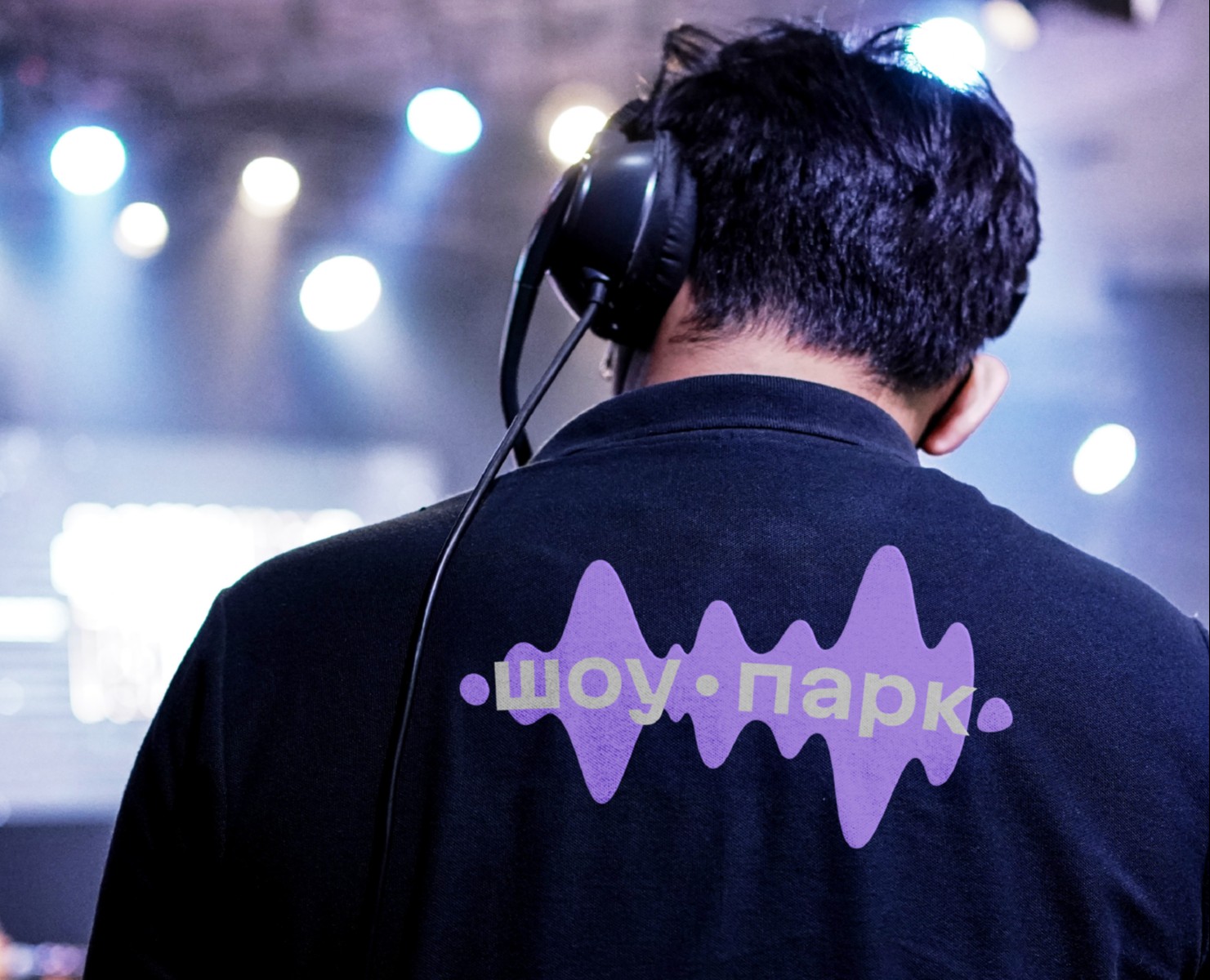 В волнах ярких событий. Айдентика «Шоу-парка» на Dprofile