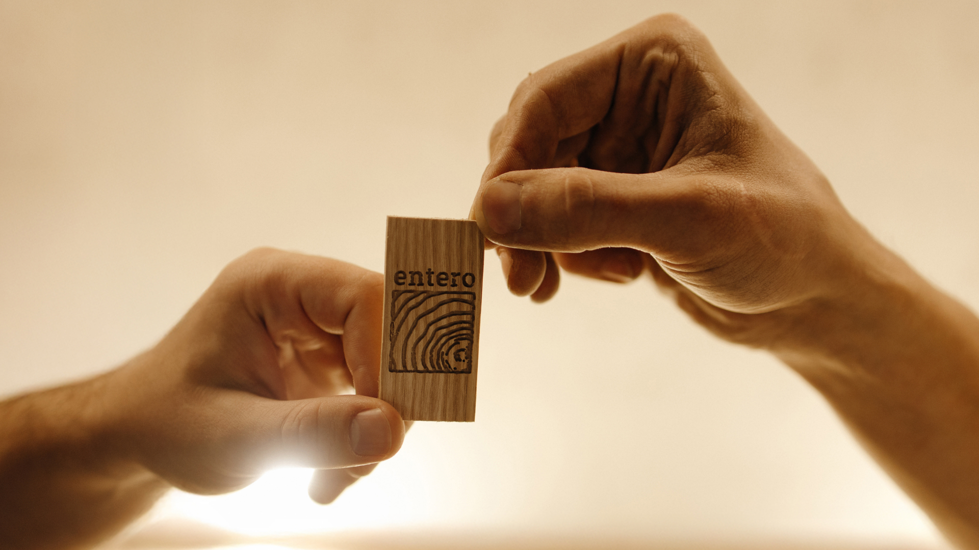 Айдентика для мебельной студии Entero — Изображение №1 — Брендинг на Dprofile