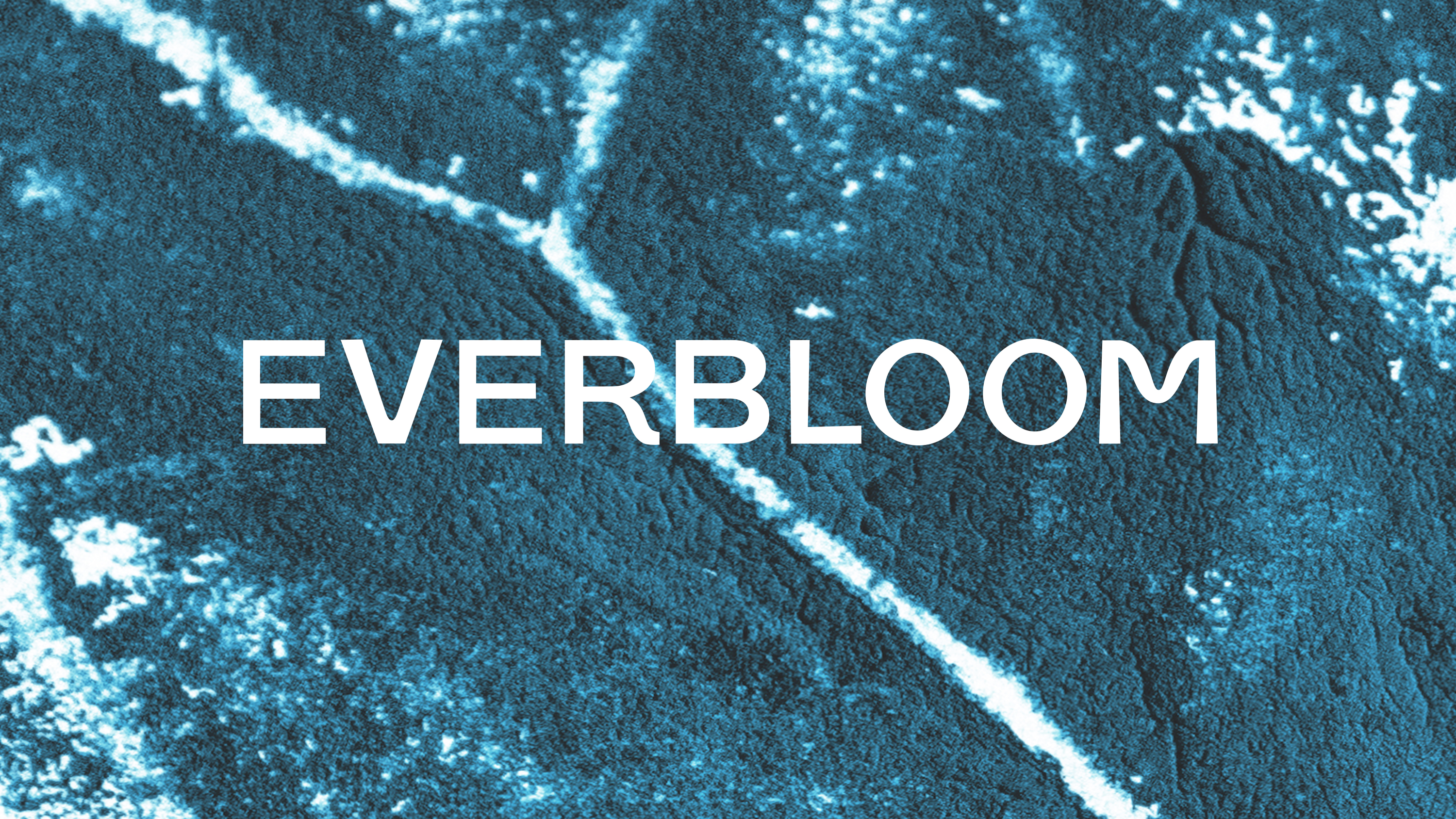 Everbloom — Изображение №3 — Брендинг, Графика на Dprofile