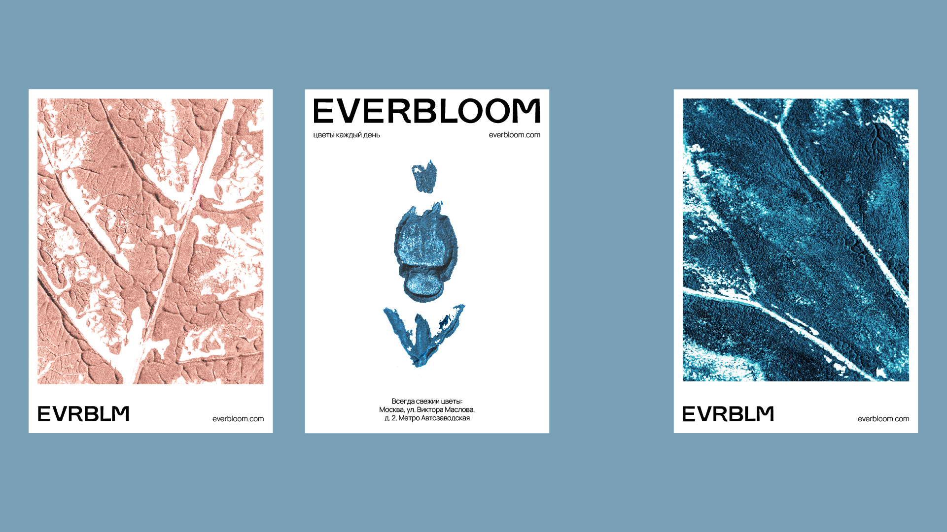 Everbloom — Изображение №5 — Брендинг, Графика на Dprofile
