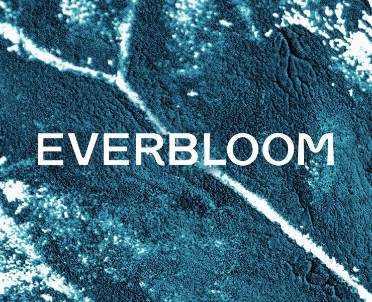 Everbloom — Брендинг, Графика на Dprofile
