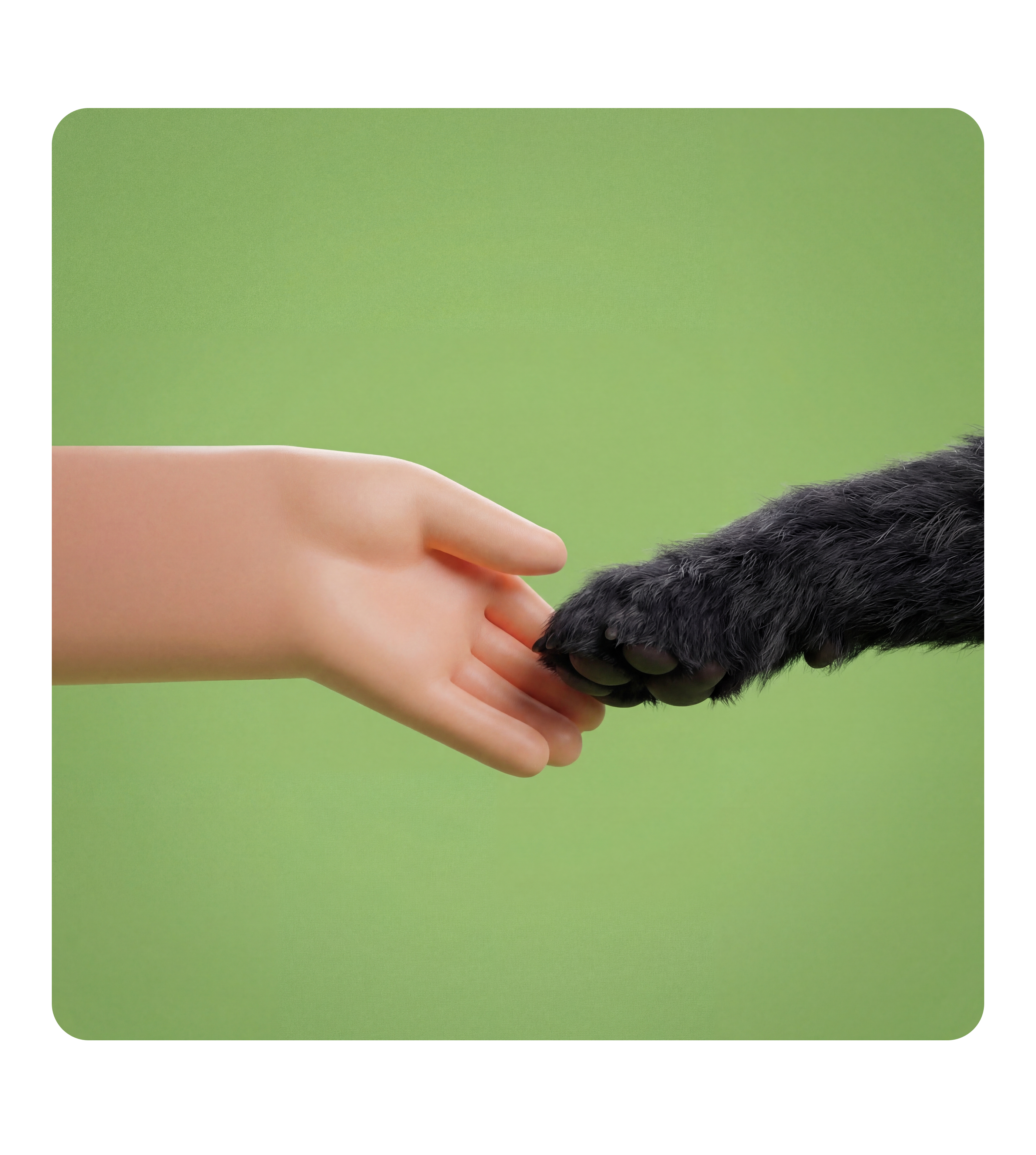 Носики & Хвостики — Изображение №9 — Брендинг, Иллюстрация на Dprofile