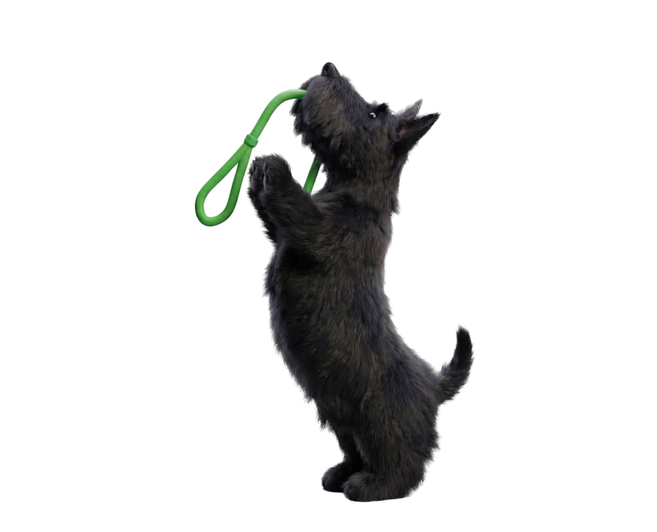 Носики & Хвостики на Dprofile