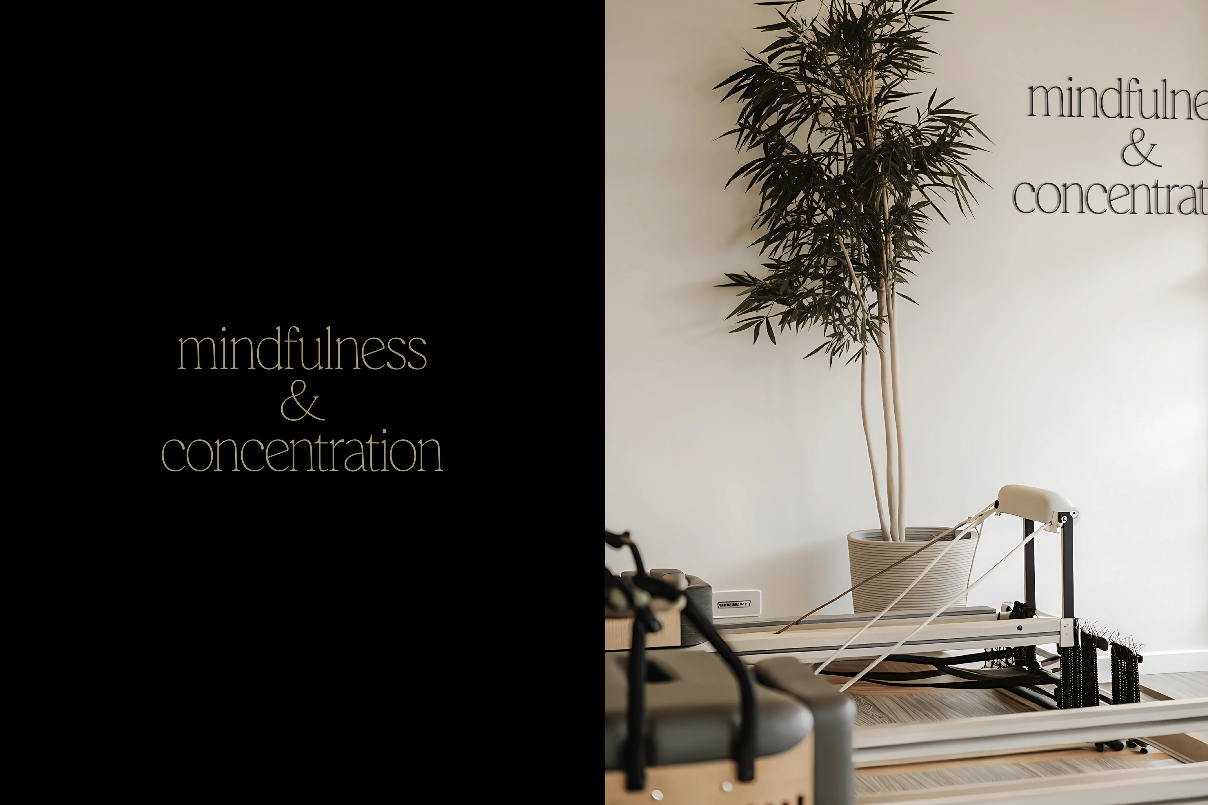 Sinto Studio | айдентика студии пилатеса — Изображение №11 — Брендинг на Dprofile