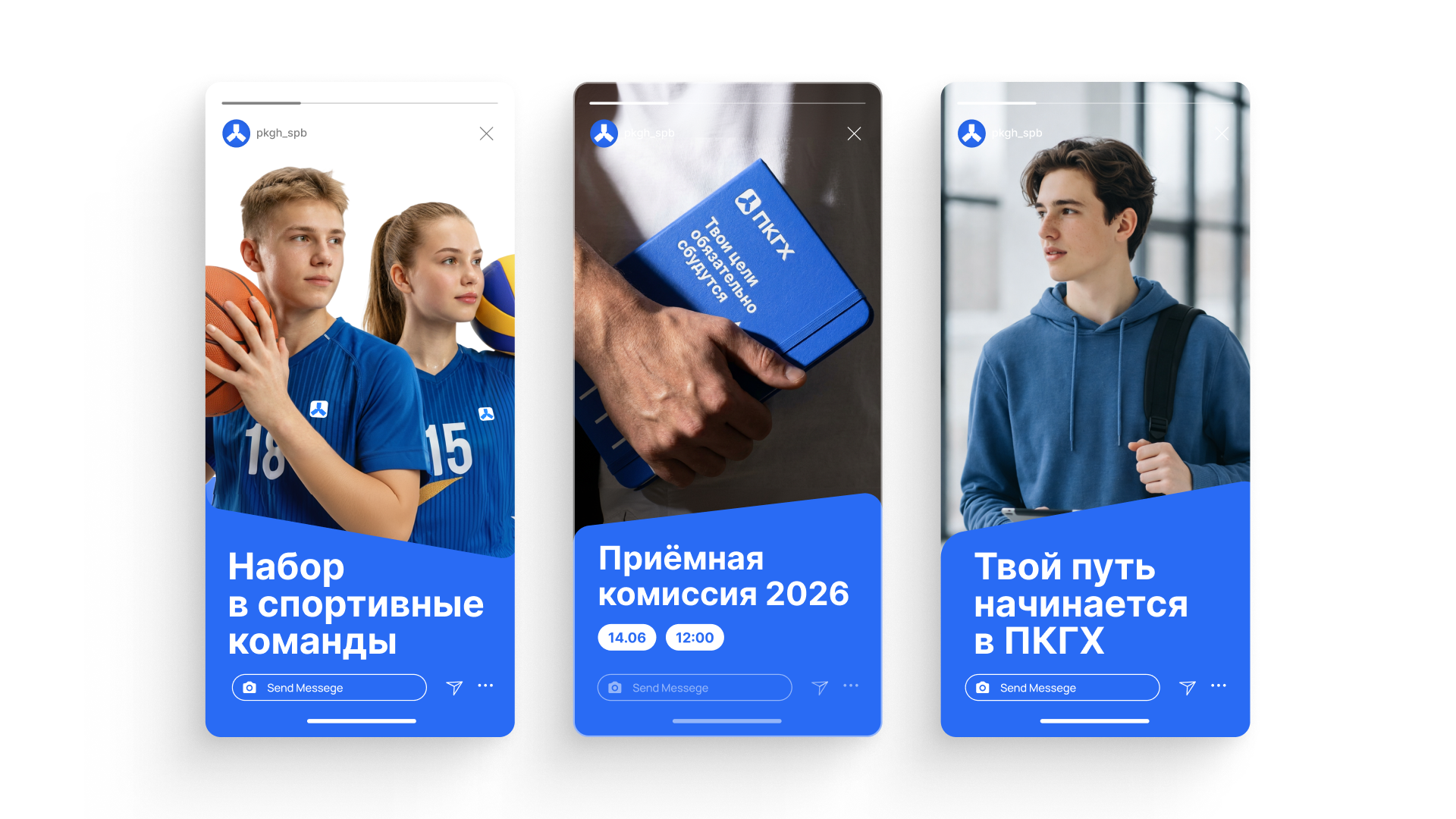 ПКГХ — Изображение №3 — Брендинг, Графика на Dprofile