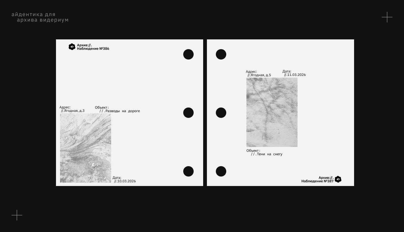 Видериум. Архив наблюдений — Изображение №3 — Брендинг на Dprofile