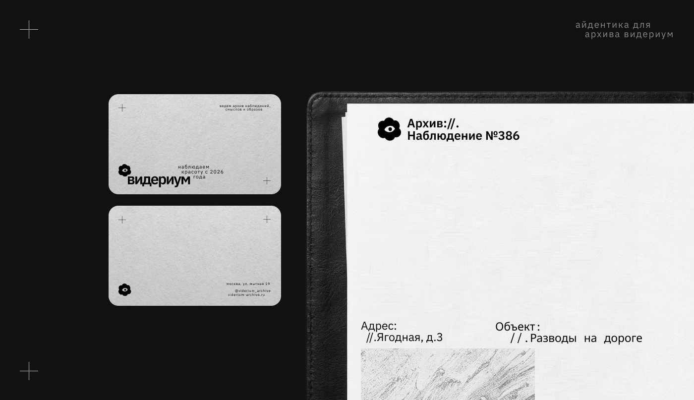 Видериум. Архив наблюдений — Изображение №1 — Брендинг на Dprofile